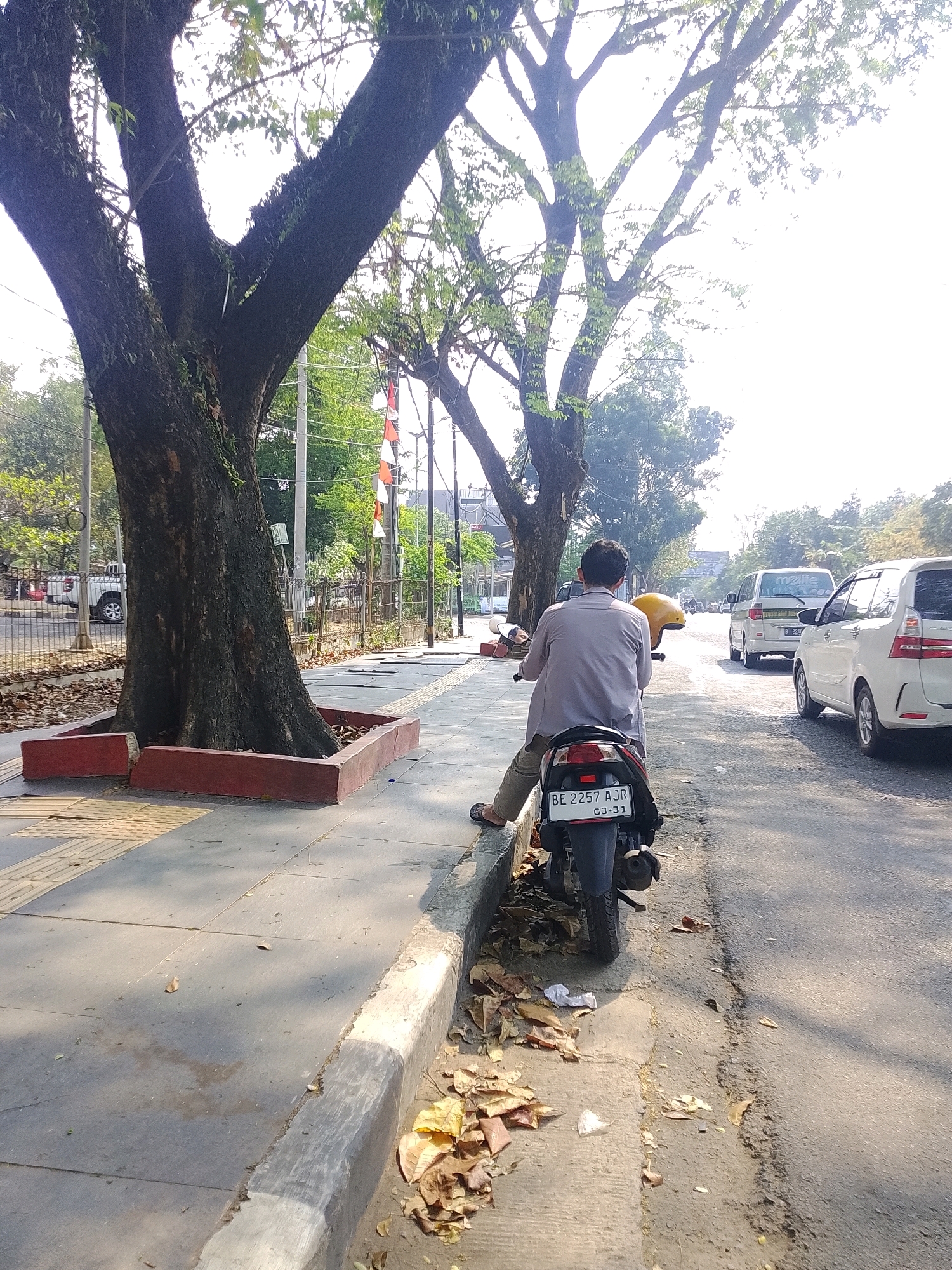 The image depicts a street scene in Bandar Lampung, Indonesia, on a bright, sunny day. In the foreground, a man wearing a light gray long-sleeved shirt and brown pants is seated on a black scooter parked on the side of the road. He is wearing sandals and a yellow helmet rests on the scooter's seat. The scooter has a license plate that reads "BE 2257 AJR 03-21". The scooter is parked next to a concrete sidewalk with a curb, and fallen leaves are scattered on the ground.
The sidewalk runs alongside a street with several vehicles. A white van is visible in the middle ground, and to its right, a white car is also present. Beyond the street, there are trees with large trunks and branches, some of which are bare, while others have green leaves. In the background, there are buildings and more trees. The scene suggests a typical urban environment with moderate traffic. Indonesian flags with red and white bands are visible on poles further down the street, indicating a possible public area or event. The overall atmosphere is bright and somewhat hazy due to the sunlight.