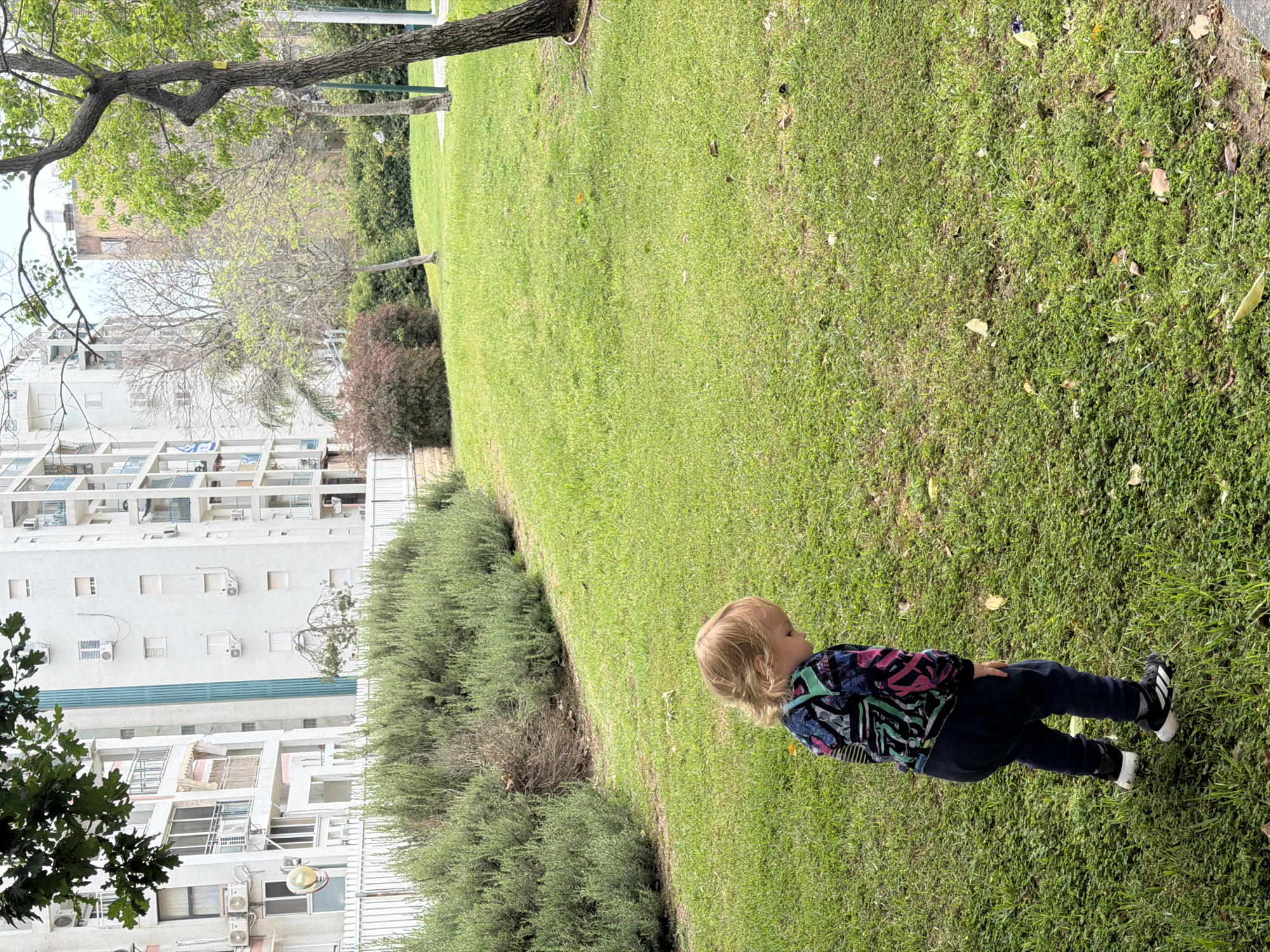 A young child with blond hair is standing on a grassy lawn in Kiryat Bialik, Israel. The child is wearing a colorful patterned jacket and dark pants with athletic shoes. Behind the child is a low hedge, and beyond that, a multistory building with white walls and visible air conditioning units. A tree is visible in the background. The day appears to be overcast.