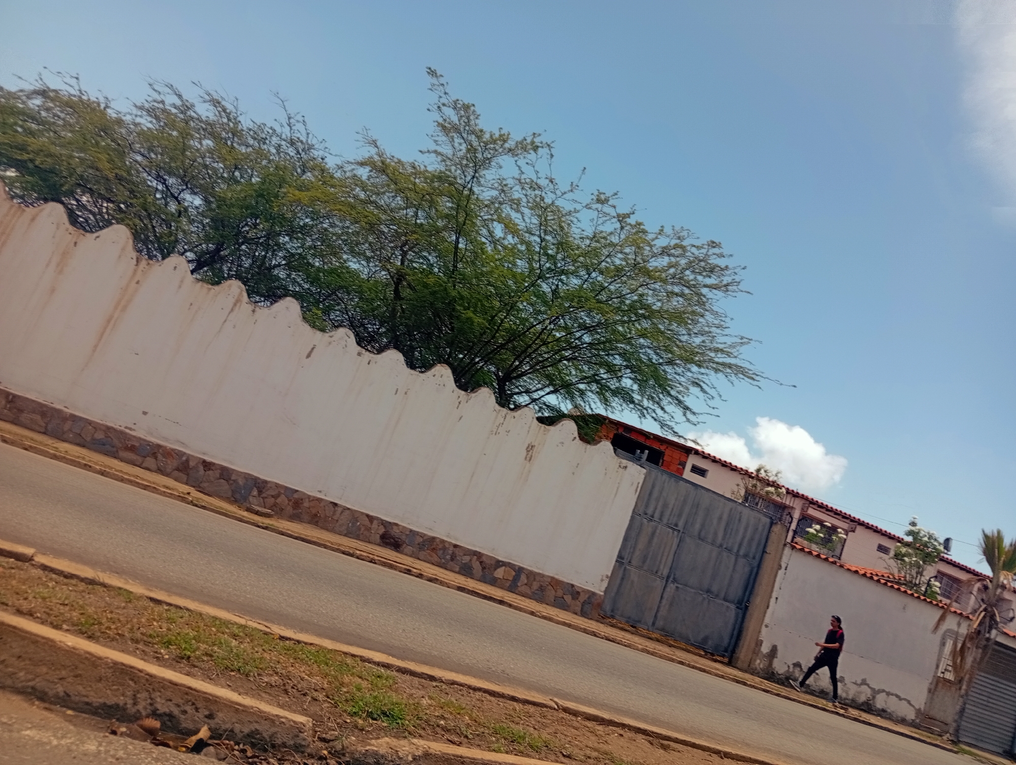 A person is walking along a street next to a wall. The wall is white with a stone base and has a decorative wavy top edge. Beyond the wall, trees with green leaves are visible, and in the distance, there are buildings with red tile roofs. A large gray gate is set into the wall. The person, dressed in dark clothing, appears to be walking casually. The scene is outdoors during the day, with a clear blue sky and some wispy clouds. The street is paved, with a curb and grassy areas on the side. The image is taken at an angle, giving a sense of perspective. The location is Juan Griego, Venezuela.