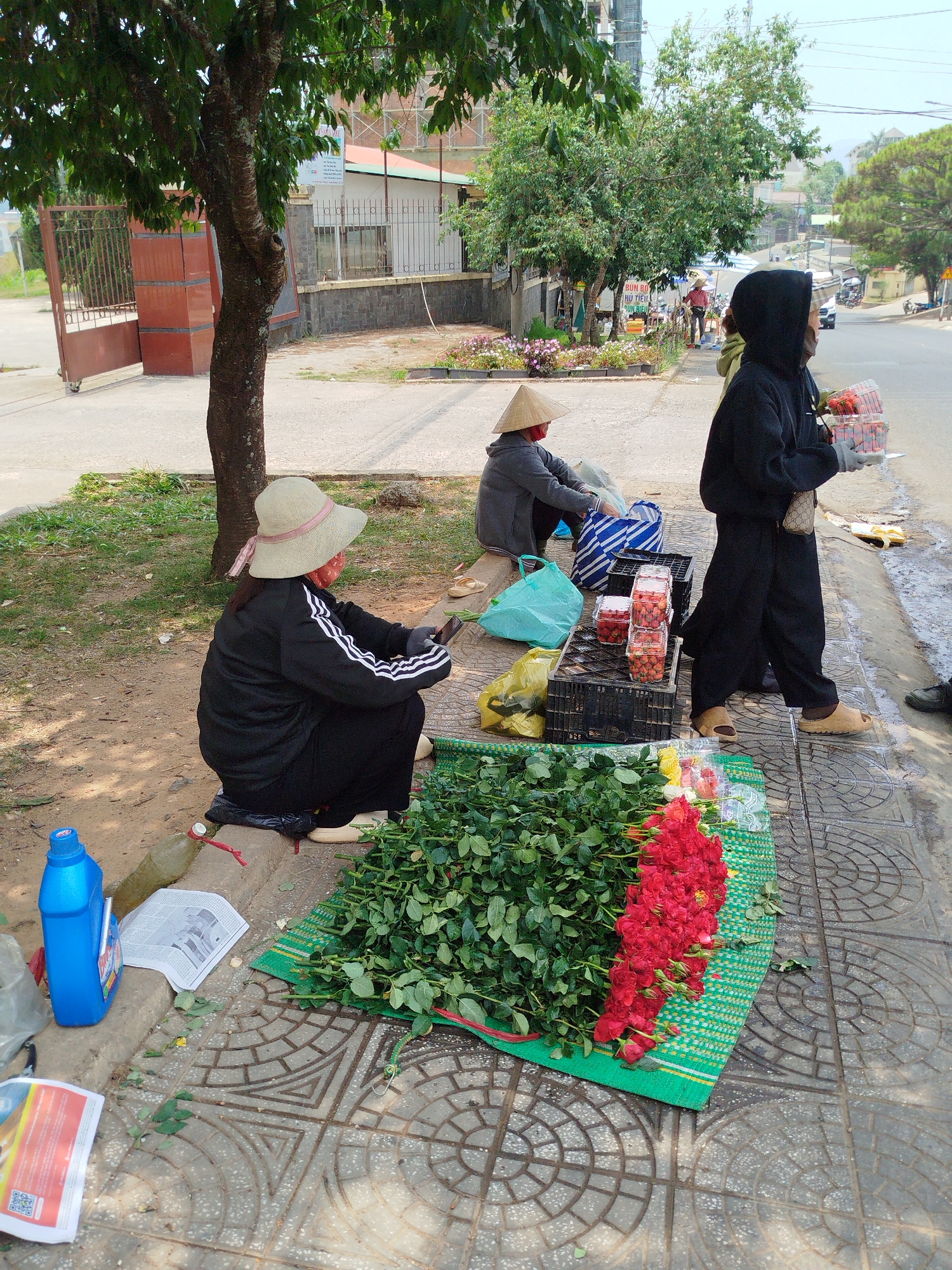 The image depicts a street scene in Da Lat, Vietnam, with several individuals engaged in commerce. In the foreground, a woman wearing a sun hat, a black tracksuit, and a red face mask is squatting next to a green mat displaying a large assortment of roses. A row of red roses is prominently arranged at the edge of the mat. To the left of the woman are various objects, including a blue plastic bottle, a newspaper, and a plastic bag. Behind her, another woman wearing a conical hat and a red face mask is sitting and packing items into bags. To the right, an individual in a black hooded outfit stands with a tray of strawberries. Black crates are stacked between them, also containing strawberries. In the background, there's a road with some vehicular traffic and pedestrians. Buildings and trees are visible in the distance. The scene is lit by natural daylight.