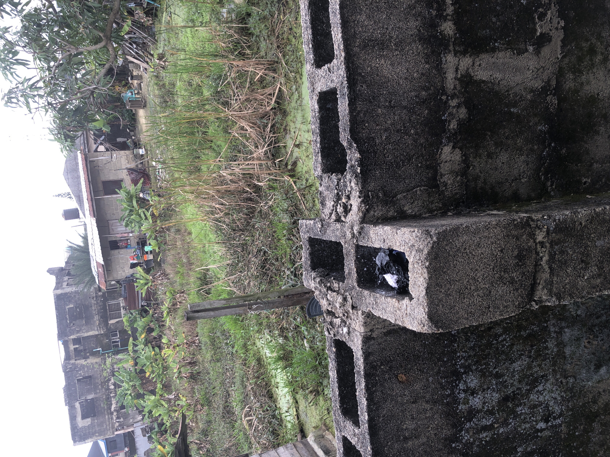 The image captures a scene in Ado, Nigeria, depicting a partially constructed or abandoned building complex adjacent to a waterlogged area filled with reeds and vegetation. In the foreground, a wall made of concrete blocks with open cavities is visible, with some debris, including black and white plastic bags, inside one of the openings.
The mid-ground shows several structures. To the left, a multi-story building constructed from cinder blocks, with unfinished facades and empty window frames, dominates the view. In front of this building, a cluster of banana plants thrives. To the right, a single-story building with a corrugated metal roof stands, appearing more complete than the taller structure. Various items, including buckets and what looks like laundry, are scattered around this area, suggesting ongoing or recent human activity. A mango tree with dense foliage extends into the frame from the right side, its branches reaching over the scene.
The background is characterized by a marshy area covered with green algae or duckweed and tall, dry reeds. A wooden post stands in the middle of this waterlogged vegetation. The overall impression is one of a developing or declining urban fringe, where residential construction meets undeveloped, swampy land. The sky is overcast, contributing to a muted and slightly somber atmosphere.