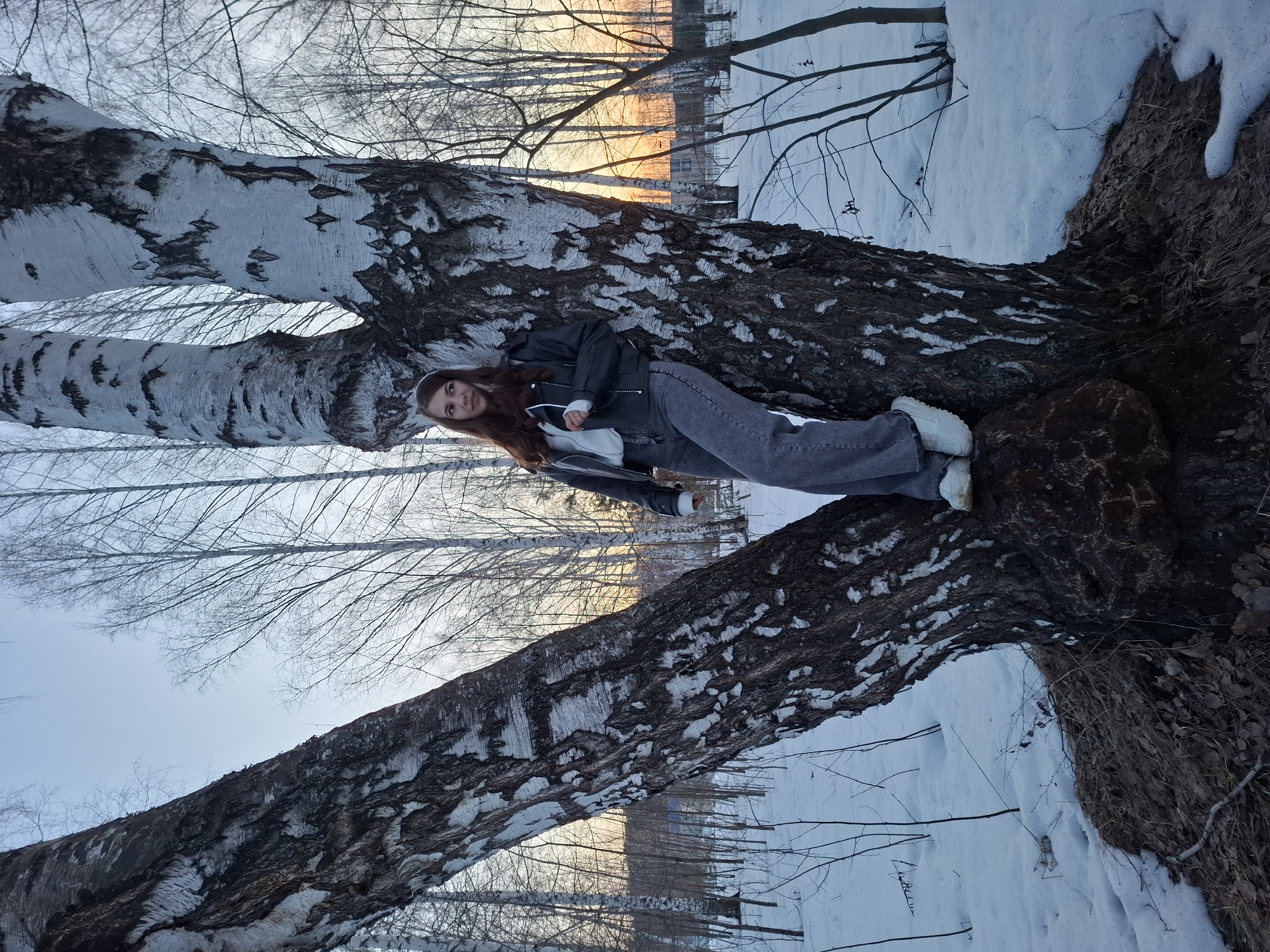 A young woman is lying on a fallen birch tree in a snowy landscape. She is wearing a black jacket, light grey jeans, and white shoes. Her long brown hair is partially covered by a white headband. The tree has distinct black markings on its white bark. Snow is visible on the ground around the tree and in the background. Bare branches from other trees reach towards the sky. In the distance, a sunset or sunrise casts a warm glow. This photo was taken in the city of Chaikovsky, Russia.