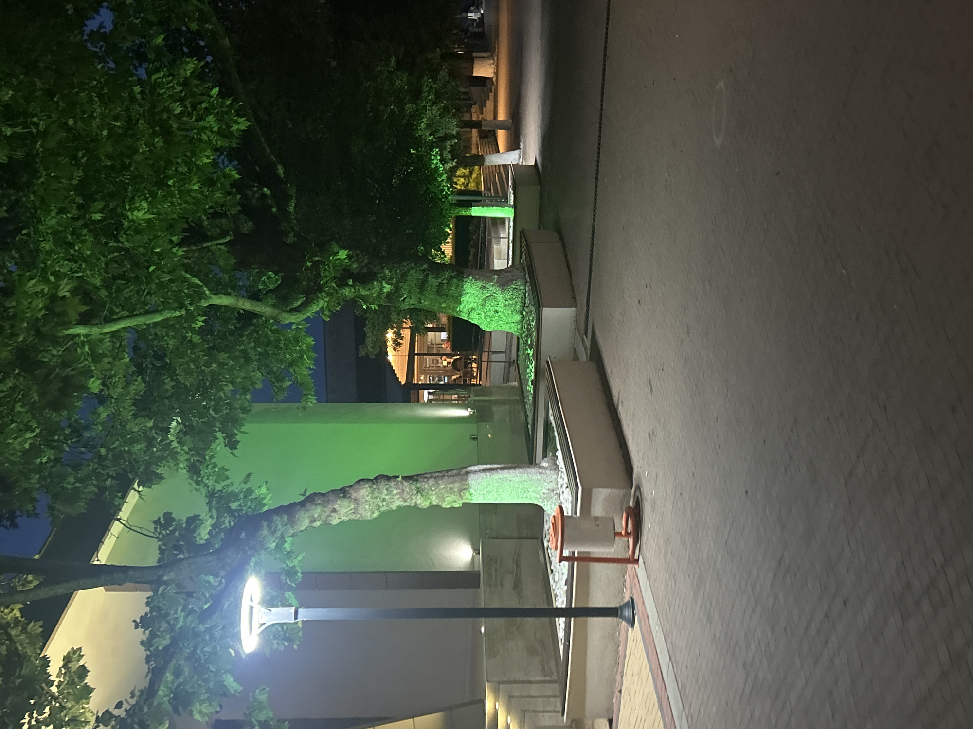 This nighttime image depicts an urban or semi-urban pedestrian area in what is identified as Dzhebel, Bulgaria. The scene is dominated by large, leafy trees, particularly one on the left whose trunk and lower branches are strikingly illuminated with a vibrant green light, contrasting against the dark blue sky. Other parts of the tree's foliage are also lit green, while some areas remain shadowed.
The ground is paved with rectangular blocks, suggesting a sidewalk or plaza. Various artificial light sources are visible; a modern street lamp with a bright white, circular light stands prominently in the lower left foreground, and other ambient lights cast glows on the surrounding structures and foliage. In the mid-ground, there are concrete planters or benches, and a white trash bin with an orange-red frame is positioned next to one of them.
In the background, building facades are visible. One building, possibly a restaurant or cafe, shows a brightly lit interior through a large window, revealing several blurry figures seated at tables, indicating social activity. The overall atmosphere is quiet and ambient, defined by the interplay of deep shadows and the distinct green and white artificial lighting. No specific event is taking place beyond general evening urban life. There is no discernible text visible in the image. The weather appears clear.