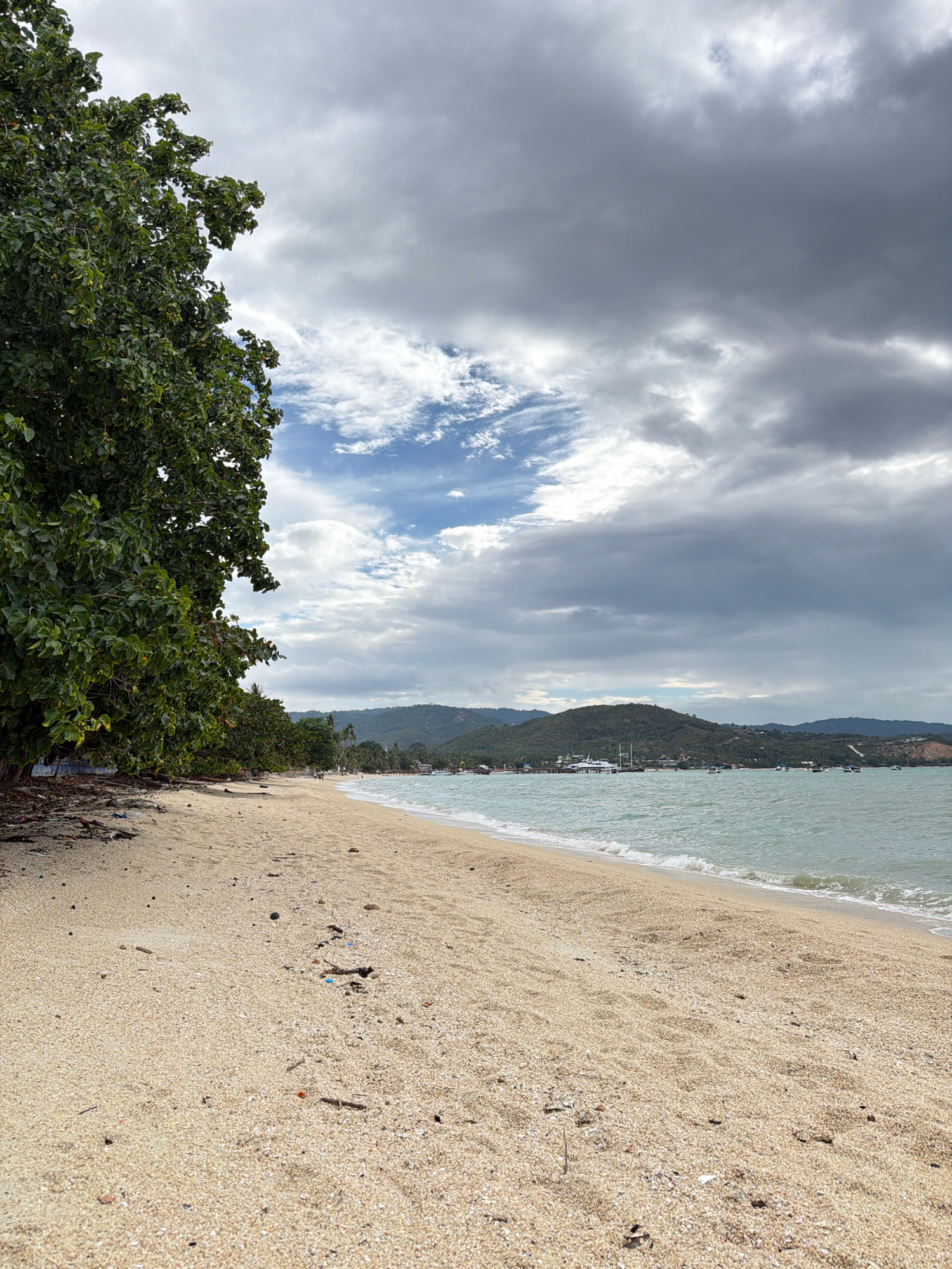 A beach scene unfolds under a cloudy sky, with a large green tree dominating the left side of the frame, its branches extending towards the center. The sand is a pale yellow, dotted with small debris, and slopes gently towards the sea. The water is a turquoise green, with small waves lapping at the shore. In the distance, a coastline is visible, characterized by lush green hills dotted with buildings and a few boats anchored offshore. The sky is a mix of dramatic dark gray clouds and patches of bright blue sky with wispy white clouds. The image appears to have been taken from a low vantage point, looking across the sand and out towards the sea and distant land. The location is the beach in Ko Samui District, Thailand. There are no people or animals visible in the frame.