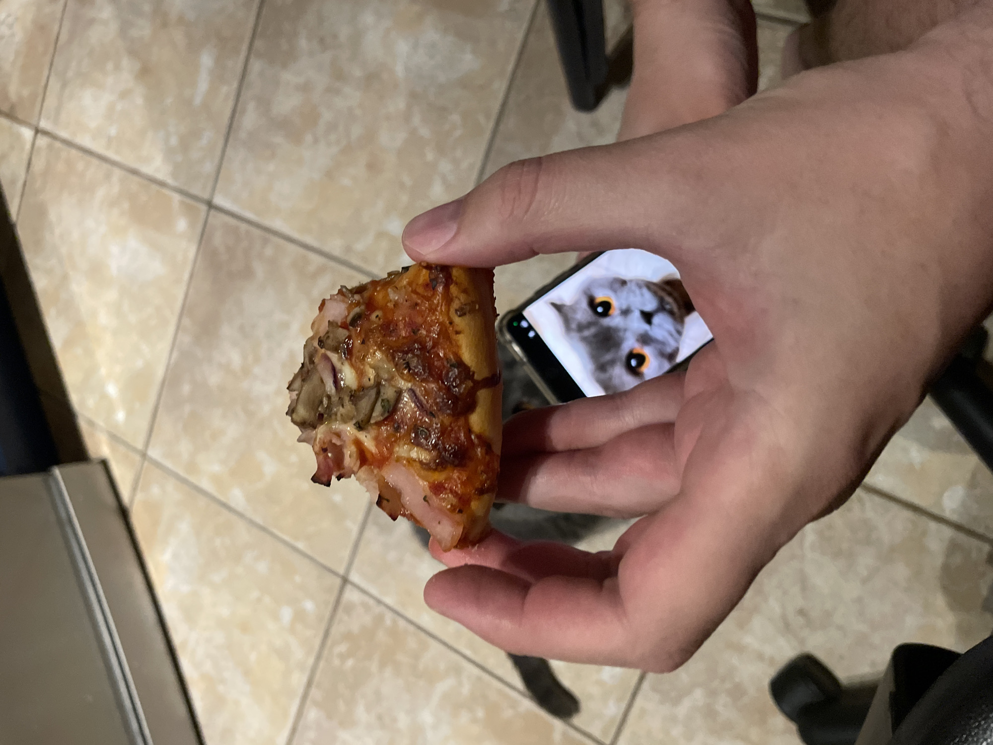 A hand holds a slice of pizza in front of a smartphone displaying a cat photo. The pizza has toppings like mushrooms and meat. The background shows tiled flooring. The location is Unknown, Unknown.