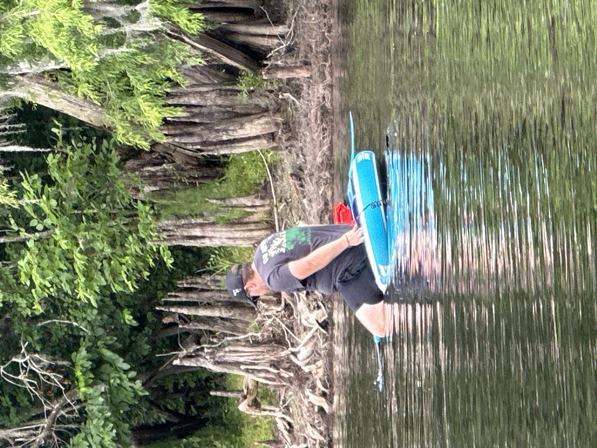 An outdoor, slightly rotated image captures a man standing partially submerged in a body of water, interacting with a blue paddleboard or similar watercraft. The scene is set in a natural, lush environment, likely in Tampa, United States.
The man, facing left in the frame, wears a dark t-shirt with a green graphic design on the back, dark shorts, a dark baseball cap, and sunglasses. He is positioned with his legs in the water, appearing to be either preparing to launch or having just returned from an activity. He holds the blue and white watercraft with his hands. A red object, possibly a cooler or dry bag, is visible on the board.
The water is dark and reflective, showing streaks of light from the bright overhead sky. The background features a dense shoreline characterized by numerous exposed, gnarled tree roots and trunks extending into the water. Behind these roots, abundant green foliage and trees create a thick natural barrier, suggesting a riverine or swampy landscape. The overall impression is a clear, sunny day, ideal for outdoor recreational activities on the water. No distinct text is clearly legible on any visible objects.