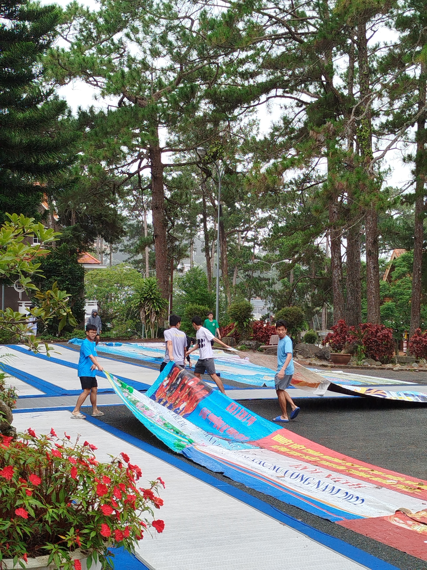 In Da Lat, Vietnam, several young men are seen unrolling large, colorful banners on a paved outdoor area lined with blue and white stripes. The banners feature text and imagery, including what appears to be a red and black design on one section. The men are casually dressed in t-shirts and shorts. The environment suggests a public space, possibly a park or school grounds, with tall pine trees and lush greenery surrounding the area. In the background, buildings with red-tiled roofs are visible, characteristic of Da Lat's architecture. Red flowers in a planter are in the foreground, adding a splash of color to the scene. The overall atmosphere is one of an outdoor activity or event preparation.
