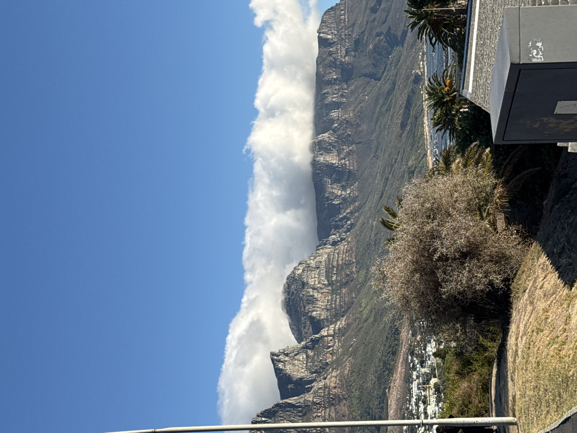 The image shows Table Mountain in Cape Town, South Africa, partially obscured by clouds. The sky is blue and clear on the left side of the image, contrasting with the white clouds that appear to be spilling over the top of the mountain. The mountain itself is rocky and covered in vegetation. In the foreground, there is a bush and some dry grass on a slope, with a view of the city below visible in the distance. A concrete structure or building is partially visible on the right side of the image, with some palm trees visible behind it.