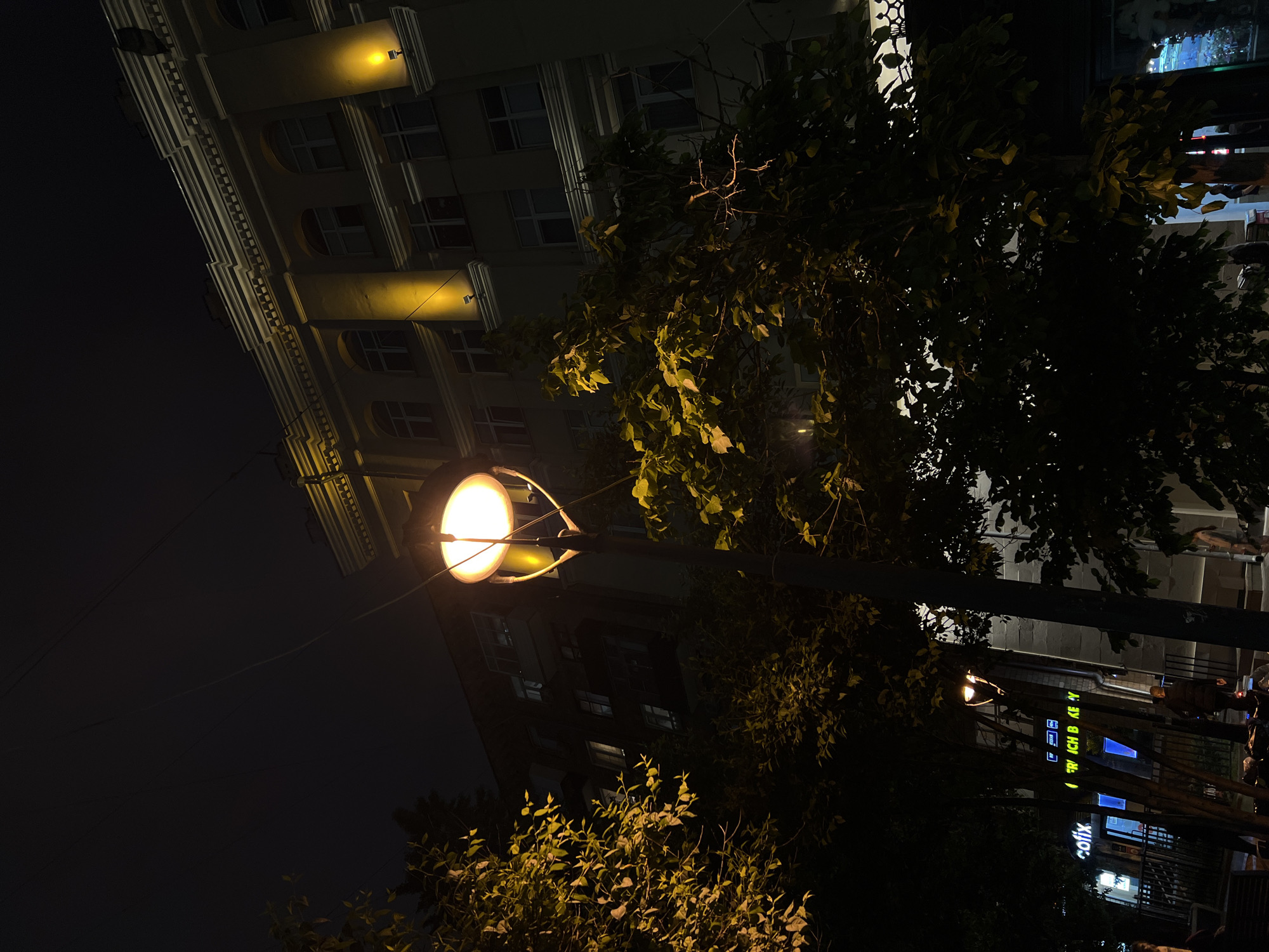 The image shows a nighttime street scene in Moscow, Russia. In the foreground, a lit street lamp with a round bulb illuminates foliage from nearby trees. The branches and leaves create a partial screen, partially obscuring the view of buildings in the background. A multi-story building on the left has lit windows, and a building on the right appears to have illuminated signage for businesses, including "Erich B" and "cofix". People are visible on the sidewalk on the right side of the image. The sky is dark.
