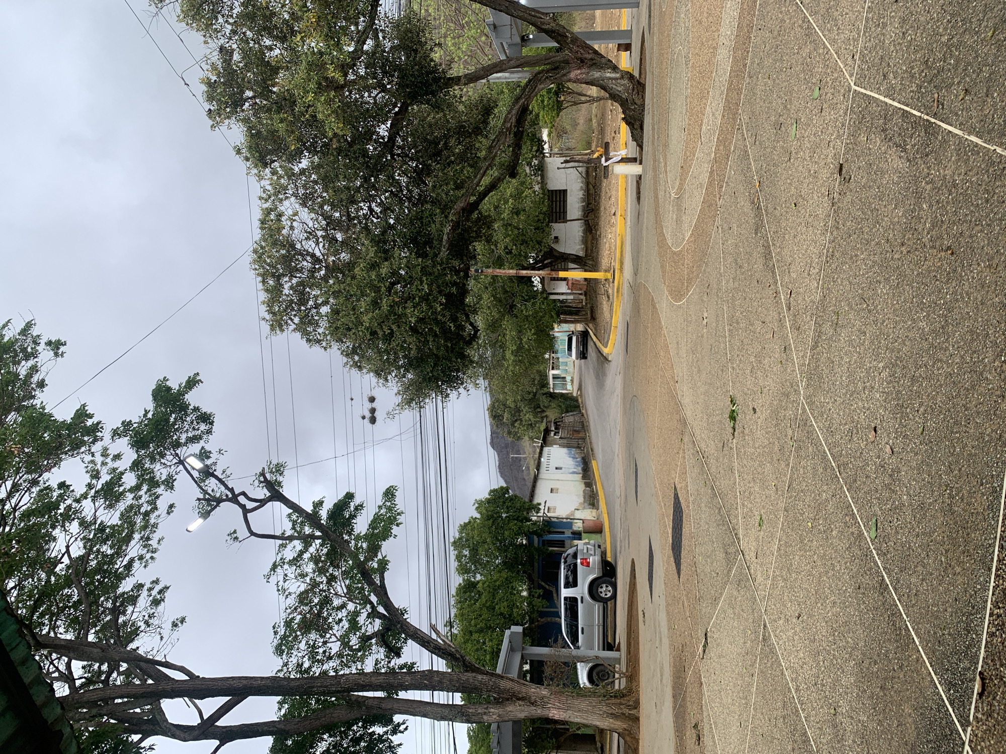 This media file presents an outdoor street scene in La Tagua, Venezuela, captured under an overcast sky. The foreground features a light-colored, textured sidewalk with embedded geometric patterns, including circles and straight lines, and scattered green leaves. To the left, a large tree with a thick trunk and prominent branches extends into the frame.
Adjacent to the sidewalk is an unpaved road or dirt path, clearly delineated by a yellow painted curb. A silver SUV or small truck is parked on the side of this path, with another vehicle visible further in the distance. Power lines crisscross the gray sky, and two modern LED streetlights are visible among the tree branches in the upper left.
In the midground, beyond the road, are several modest buildings, some with white and blue paint, partially obscured by lush green trees. In the distant background, the silhouettes of hills or mountains are faintly visible through the hazy atmosphere. The ground in some areas appears damp, suggesting recent rain or high humidity.
The scene is static, with no visible people or discernible activity. The overcast conditions indicate daytime, but without direct sunlight. There is no visible text in the image. The overall impression is of a quiet, possibly residential, area in a tropical or subtropical environment.