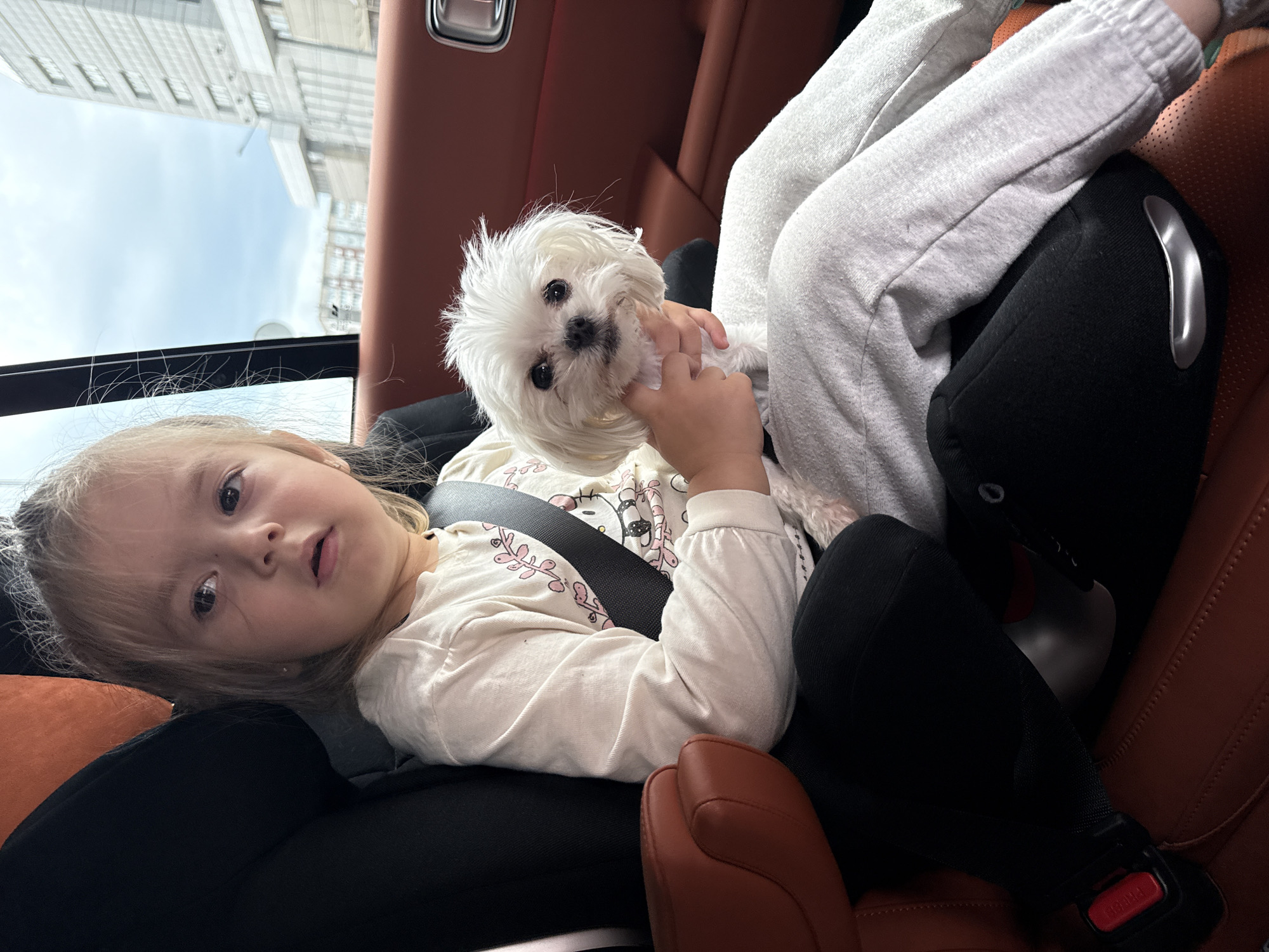 The media file shows a young girl and a small white dog in the back seat of a car. The girl, with blonde hair, is looking towards the camera with a curious expression. She is wearing a long-sleeved cream-colored shirt with a graphic print. The dog, a Maltese or similar breed, is being held by someone to her right, with its head turned towards the camera. The dog has a fluffy white coat and dark eyes.
The setting appears to be inside a car, with the distinctive brown leather interior of a luxury vehicle visible. A portion of the car's headrest and the back of a seat are also in view. A black car seat is positioned in front of the girl. Through the car's window, a reflection of buildings and the sky can be seen, suggesting the car is in motion or parked in an urban or suburban area. The sky appears to be cloudy, indicating a possible overcast day.
The image captures a candid moment, likely during a car journey. The girl's gaze and the dog's pose suggest a relaxed and possibly playful atmosphere. The detail of the car's interior, including the seatbelt buckle, reinforces the car setting. There is no visible text in the image. The overall impression is one of everyday life, with a child and her pet sharing a car ride.