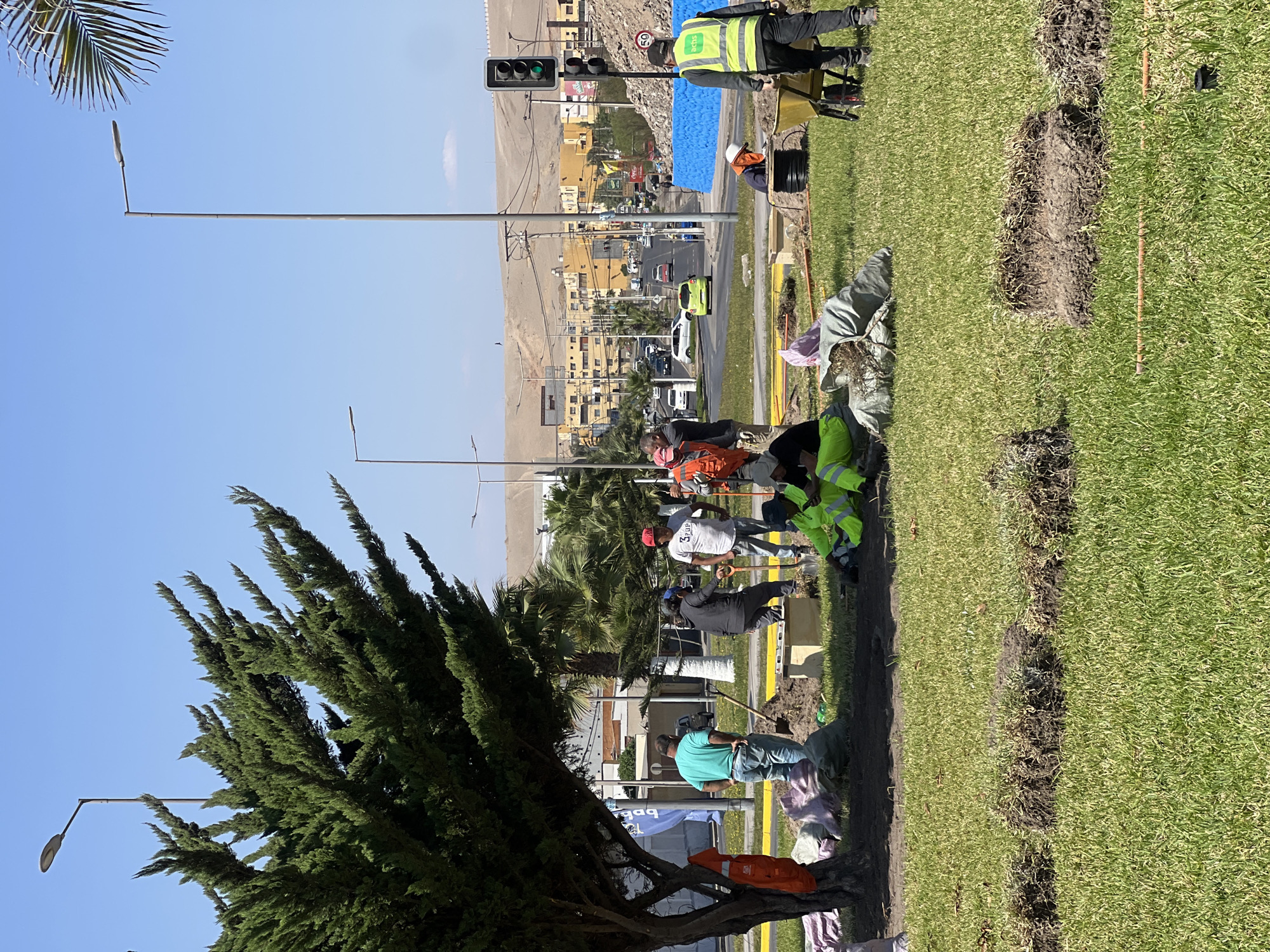 The scene depicts workers engaged in installing or repairing infrastructure along a green strip in Arica, Chile. A line of dug-up grass indicates a trench being created or filled. The workers, some wearing high-visibility vests, are positioned near the trench. Traffic and buildings are visible in the background, typical of an urban setting in Arica. A traffic light is seen in the distance, indicating the presence of an intersection. Streetlights line the road and tree along the side.