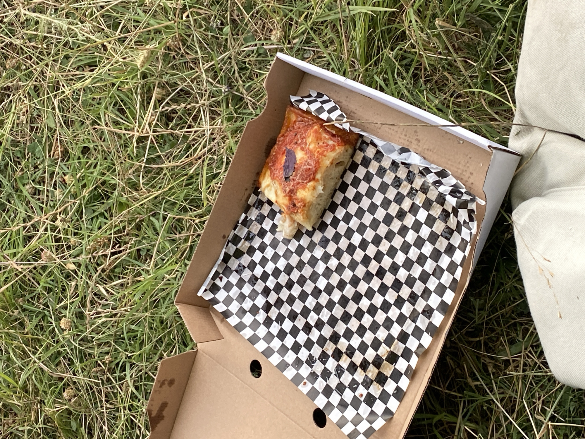 A single slice of pizza with tomato sauce and a purple basil leaf sits on a checkered paper liner inside an open cardboard pizza box, which is placed on a grassy area. The pizza box is positioned to the right of the frame, with the grass occupying the majority of the background. The lighting suggests it is daytime. The scene is devoid of any human presence or activity. There is no information available to indicate this scene is located in Tbilisi, Georgia.