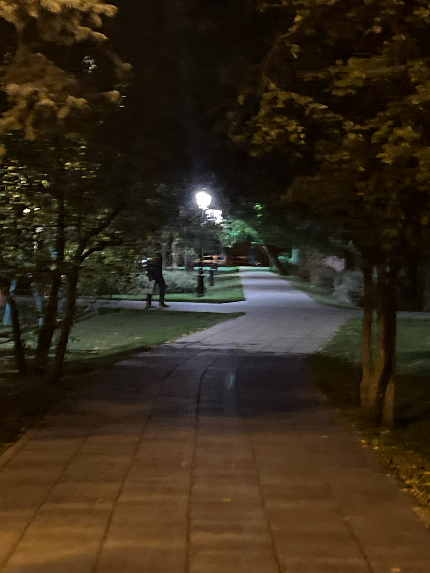 The image depicts a park pathway at night, illuminated by a streetlamp. A lone figure, silhouetted and facing away from the camera, walks along the path. The path is paved with rectangular tiles and flanked by grassy areas and trees. The overall ambiance is quiet and serene, characteristic of a peaceful evening in a city park. The specific location is a park in Moscow, Russia.