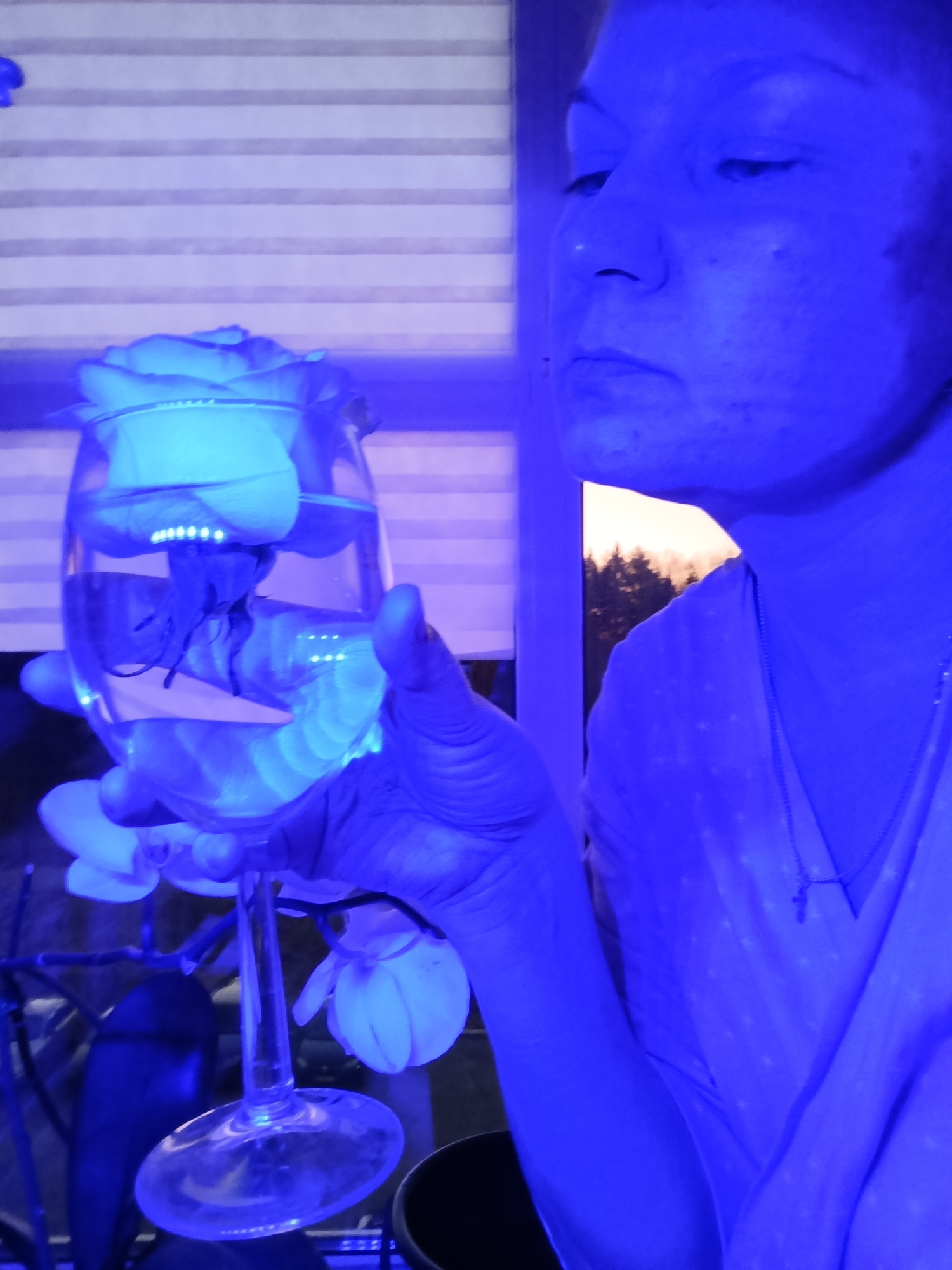 An indoor scene in Марковский, Russia, is captured under intense blue lighting, casting a surreal, monochromatic hue over all subjects. The central figure is a person, likely female, shown in a medium shot, looking down with a contemplative or focused expression. Their face, illuminated in blue, reveals some skin texture. They are wearing a light-colored garment, possibly a blouse, and a necklace with a small cross pendant is visible.
The person is holding a clear wine glass in their right hand. Inside the glass, a light-colored rose appears to be floating in water, emitting a bright glow from small white points, possibly LEDs, embedded within its petals or reflecting off them. Similar glowing dots are visible within the water in the glass. Other light-colored flowers, possibly orchids, are visible in the lower foreground and background, also glowing blue under the specific lighting.
In the background, a window with horizontal blinds is visible. Through the window on the right side, the sky appears in shades of orange and light, suggesting either dusk or dawn, with dark silhouettes of trees against it. The blue light permeates the entire environment, transforming natural colors into various shades of blue and highlighting reflective surfaces. No visible text is present in the image.