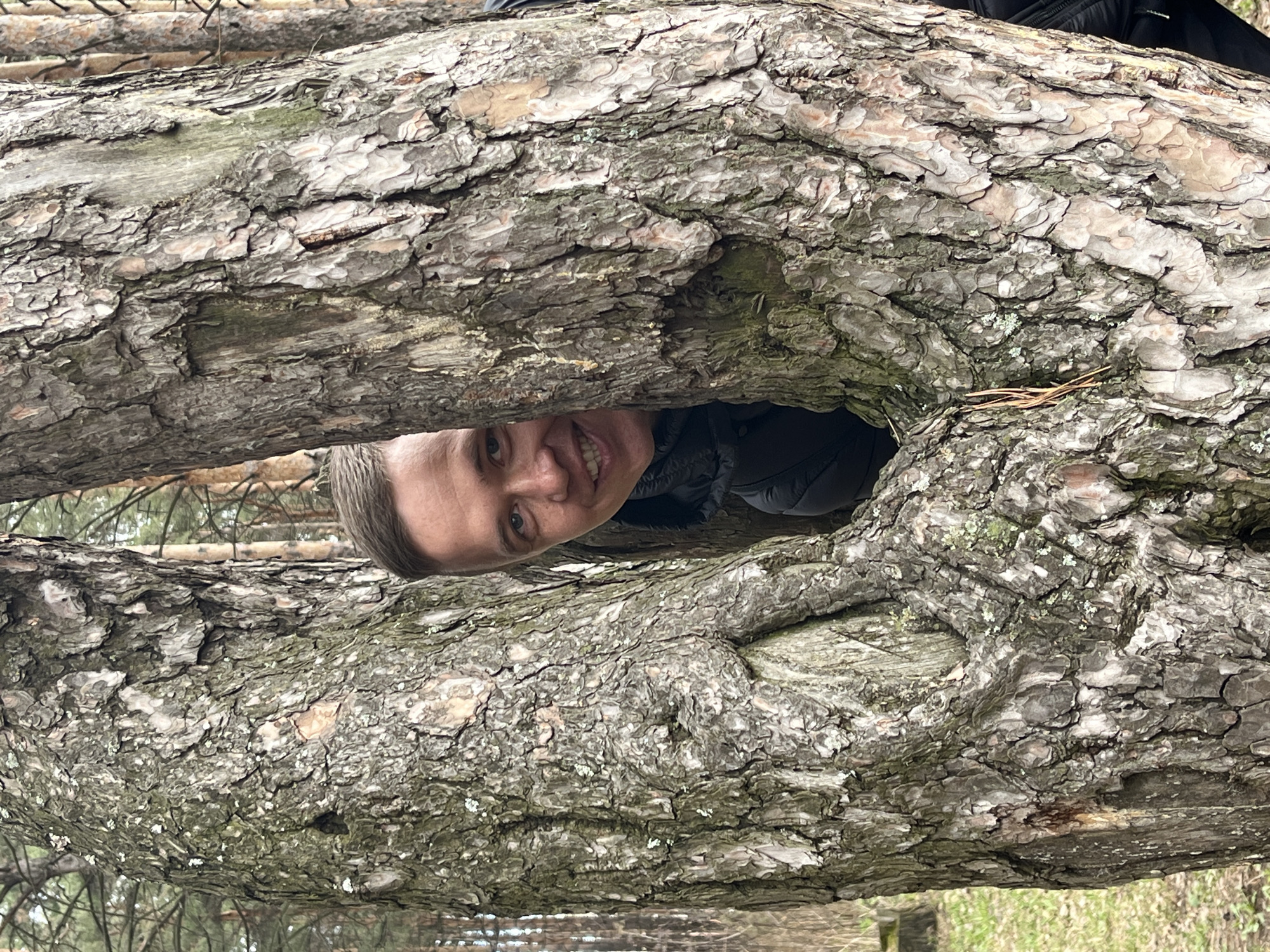 The image shows a person looking through a hole in a tree trunk. The tree bark is rough and textured, with various shades of brown and gray. The person has short brown hair and is wearing a black jacket. The background is out of focus, but there appear to be other trees and foliage. The location is Chaikovsky, Russia.