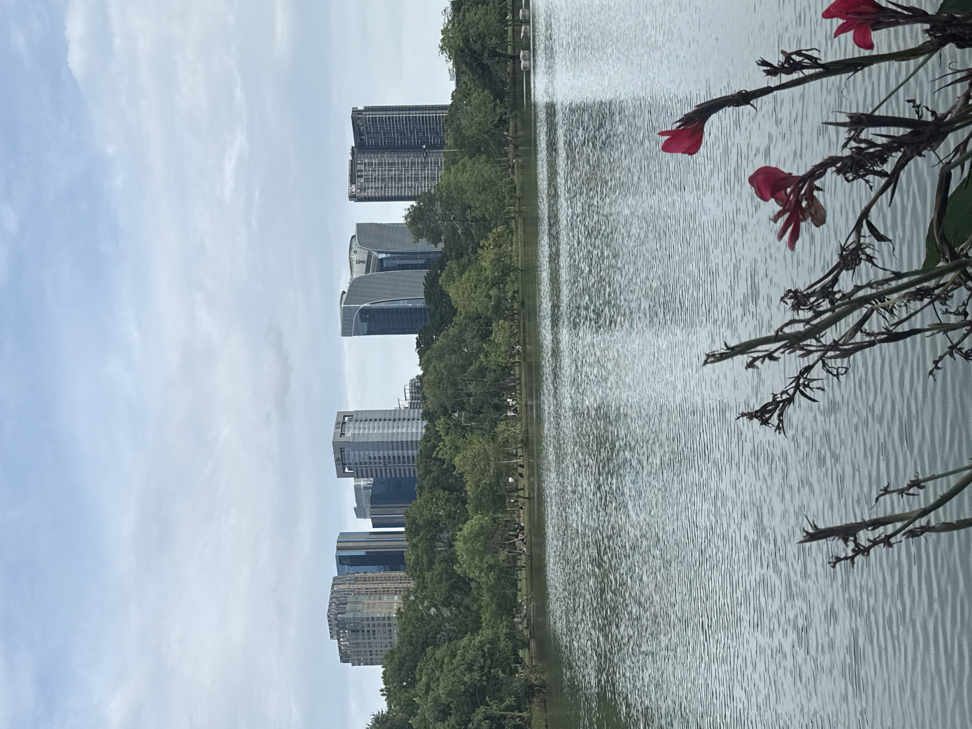 This is a landscape photograph taken in Lumpini Park, Bangkok, Thailand. The image depicts a serene lake in the foreground, with rippling water reflecting the overcast sky. Beyond the lake, a line of lush green trees separates the water from a backdrop of modern skyscrapers. Several people are visible in the distance, picnicking or relaxing on the grass under the trees. In the foreground, several red flowers are in bloom, adding a splash of color to the scene. The overall atmosphere is peaceful and tranquil, with the natural beauty of the park contrasting with the urban skyline.
