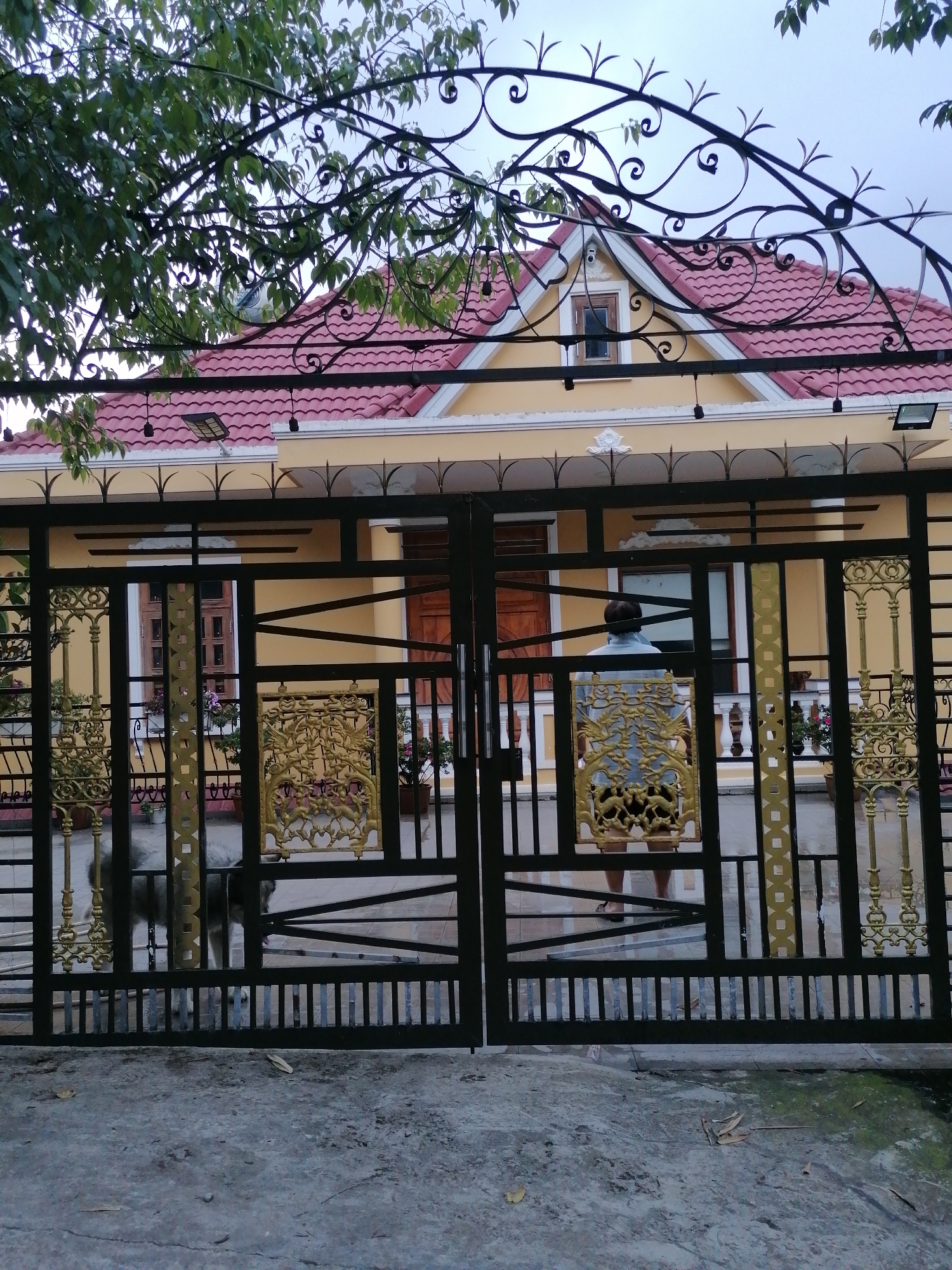 This image depicts the entrance to a house in Xuân Trường - Đà Lạt, Vietnam. A black metal gate with ornate gold embellishments stands in the foreground. Through the gate, a yellow house with a red tiled roof is visible. A person, seen from behind wearing a light blue shirt and shorts, is standing in the entryway of the house. To the left, a dog with grey fur stands near the gate. The ground is paved with concrete. The sky is overcast.