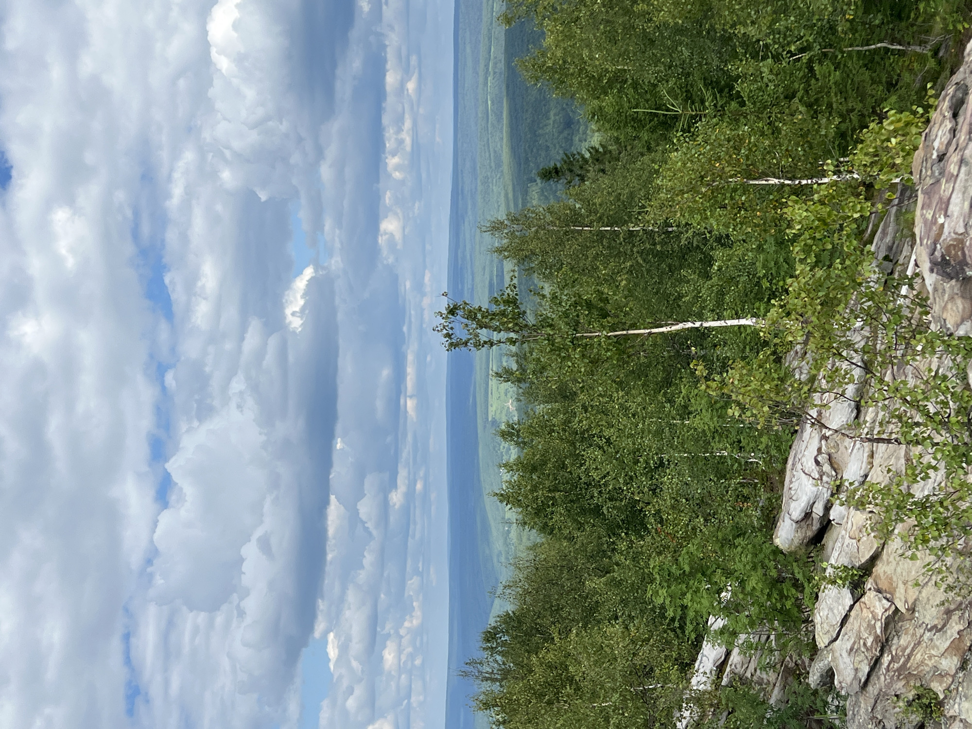 The image depicts a panoramic view from a rocky, elevated vantage point overlooking a vast, forested landscape stretching to the horizon. In the foreground, large, weathered rocks with distinct striations are visible, interspersed with greenery. The middle ground is dominated by a dense forest of deciduous and coniferous trees, with some lighter-barked trees, possibly birches, standing out. The background reveals rolling hills covered in a deep green forest, fading into a hazy blue expanse at the furthest distance, suggesting a wide, open area or possibly a body of water. The sky above is filled with a dramatic array of cumulus clouds, with patches of blue sky visible between them. The scene is natural and appears to be a wilderness area. Based on the provided context, this vista is likely from the area around Gubakha, Russia, known for its mountainous terrain and natural beauty. There are no people or specific human-made objects readily apparent in the image, emphasizing the natural environment.