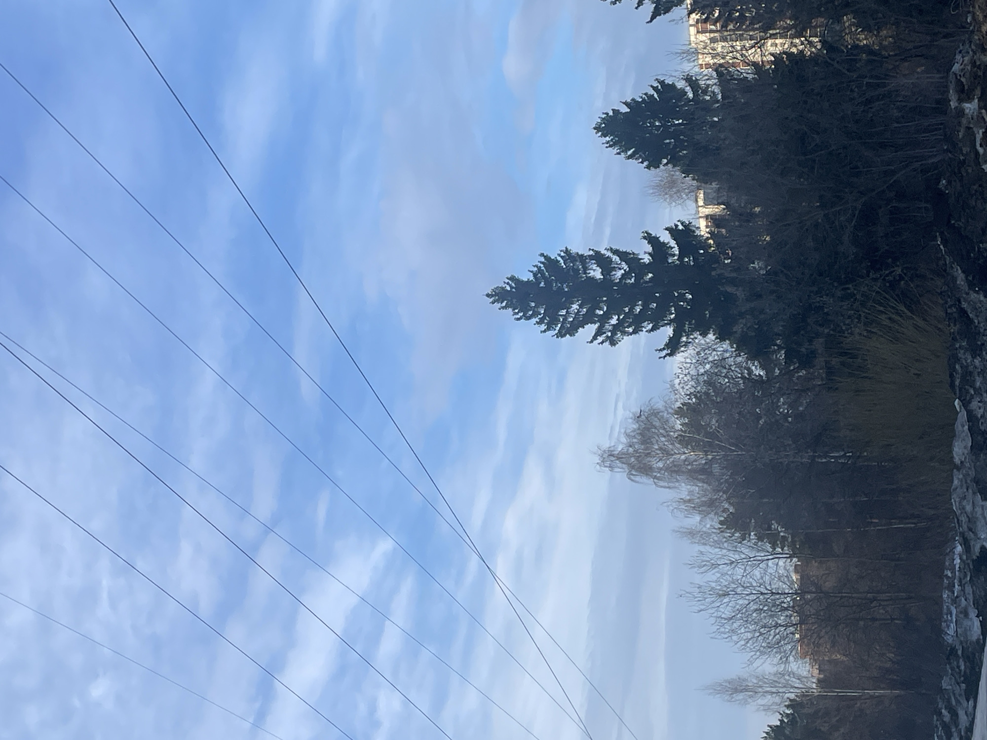 The image displays an outdoor scene in an urban area of Izhevsk, Russia, under a light blue sky with scattered white stratocumulus clouds. Five dark, thin power lines extend diagonally across the upper portion of the frame, from the top-left towards the lower-right. The midground is dominated by a dense line of trees, including several tall, dark green coniferous trees, notably a large spruce near the center-right, and numerous bare deciduous trees. In the background, partially obscured by the foliage, multiple multi-story buildings, consistent with residential or utilitarian structures, are visible. The lower foreground presents uneven ground composed of dark earth and patches of melting snow or ice. No individuals, actions, or interactions are visible within the frame.
