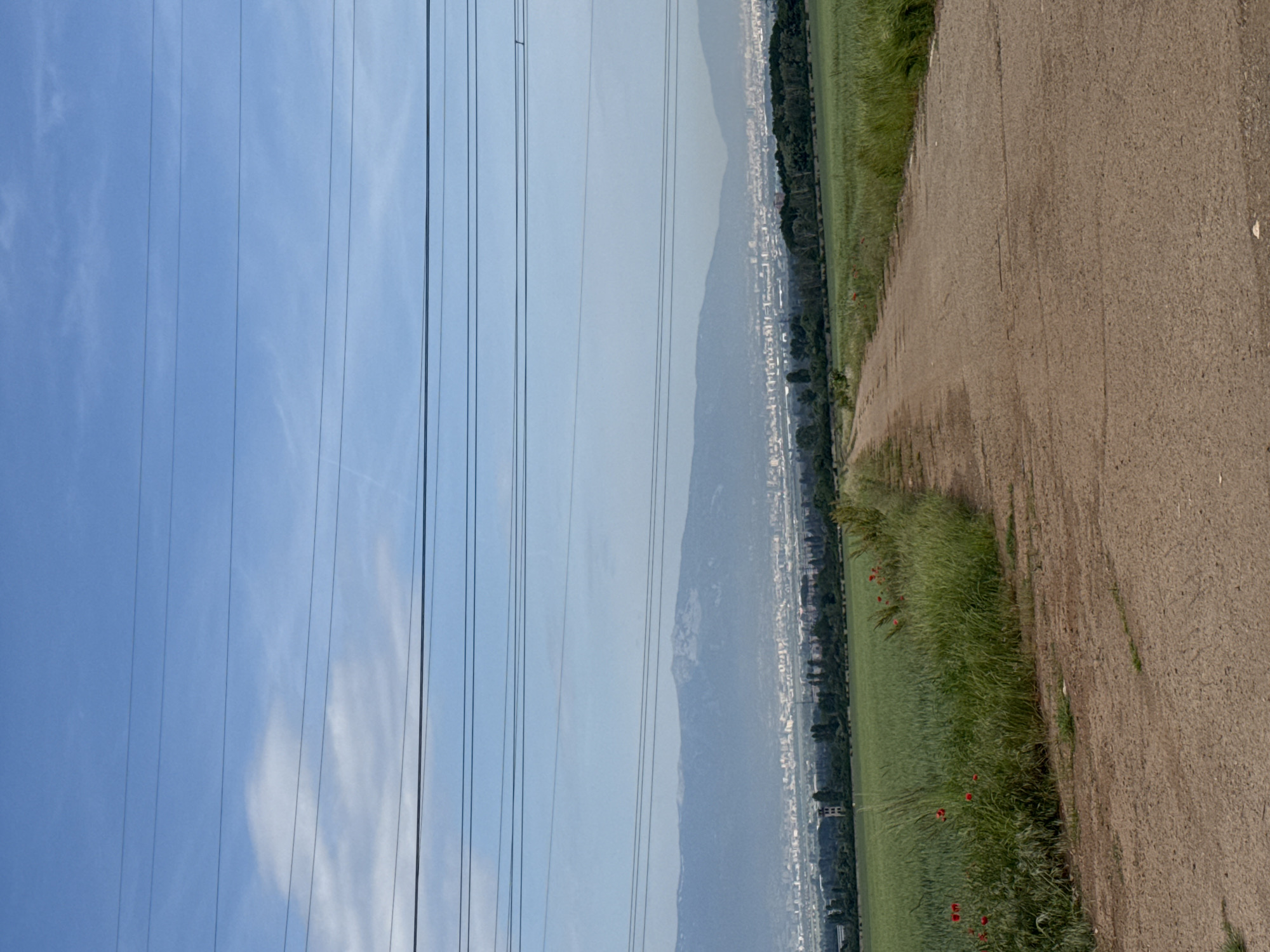 The image shows a dirt road running diagonally from the lower right to the center. Adjacent to the road is a green field with scattered red flowers. In the distance, a cityscape is visible, possibly Buhovo, Bulgaria, with a mountain range behind it. Power lines are suspended in the sky on the left. The sky is blue with some clouds.