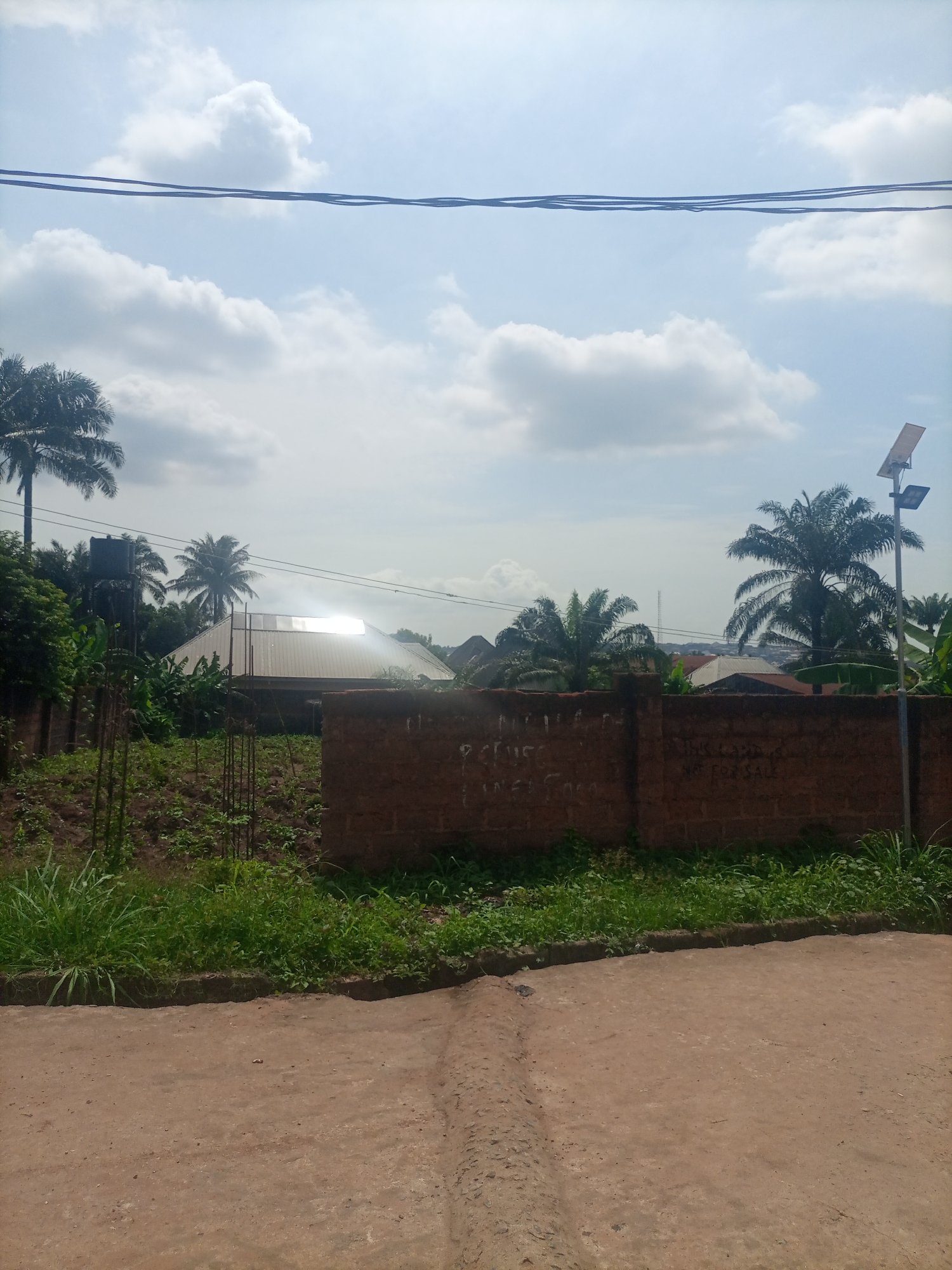 In Nkpor, Nigeria, a sun-drenched, partially cleared plot of land borders a red brick wall on a bright, cloudy day. The land is undeveloped with some greenery and sparse vegetation. Beyond the wall, palm trees and other foliage are visible, along with a building with a metallic roof that reflects the sunlight. A solar-powered lamp post stands near the right edge of the frame, and utility wires are strung across the sky. The foreground shows a dirt road with tire tracks. The overall scene suggests a rural or semi-developed area on the outskirts of a city.