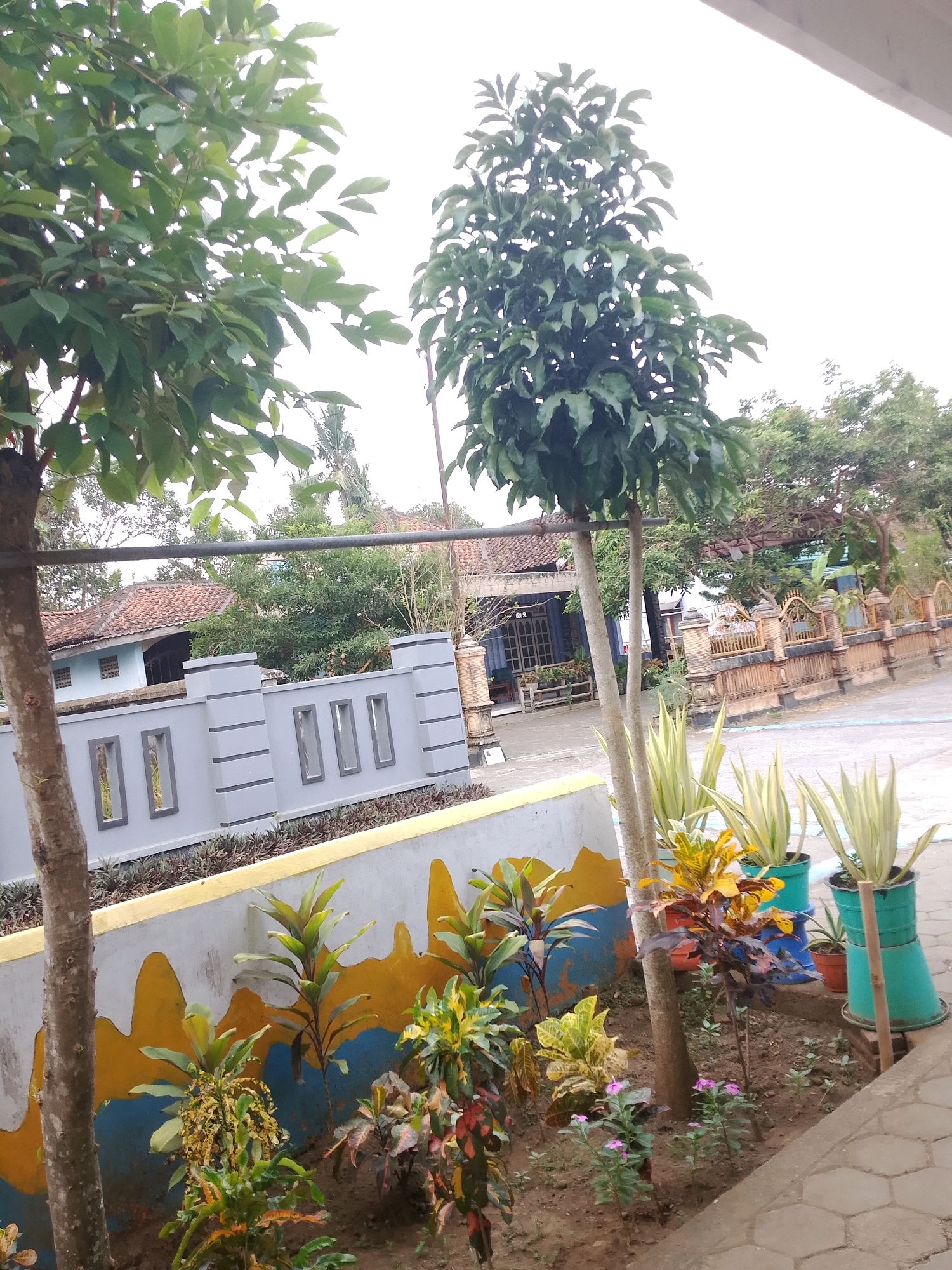 The image depicts an outdoor scene in the city of Gebang, Indonesia. In the foreground, a variety of plants are arranged in a garden bed. These plants include a tall, slender tree with a light-brown trunk, several ornamental plants with colorful leaves in shades of green, yellow, and red, and some small purple flowers. The garden bed is bordered by a low wall. The wall is painted with a yellow and blue wavy design on its lower half, and the upper half is a light grey with rectangular openings. Behind the wall, a path or courtyard is visible, paved with grey interlocking stones. Further back, a building with a tiled roof is visible, along with more trees and vegetation. A fence with an ornate design is also present. The sky is overcast. There are no people visible in the image.