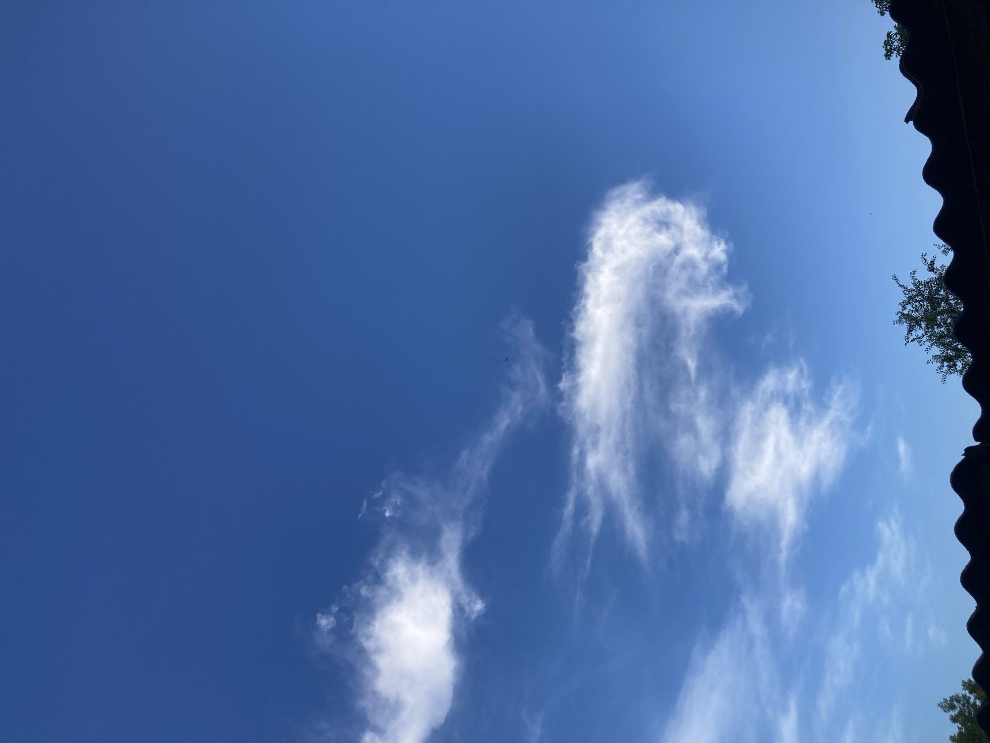 The image depicts a bright blue sky with scattered white clouds. The clouds are wispy and appear to be cirrus or cirrostratus clouds, indicating fair weather. The sun is likely high in the sky, suggesting it is midday. The view is from a low angle, looking upwards.
On the right side of the frame, the dark silhouette of a roofline or overhang is visible, with some green foliage from trees peeking out. The roofline has a distinctive corrugated or scalloped pattern. The overall impression is one of a clear, sunny day, possibly in a rural or suburban setting given the presence of trees and a roof structure. There are no people or specific objects other than the clouds and the silhouetted structure. The image conveys a sense of peace and openness. No text is visible in the image.