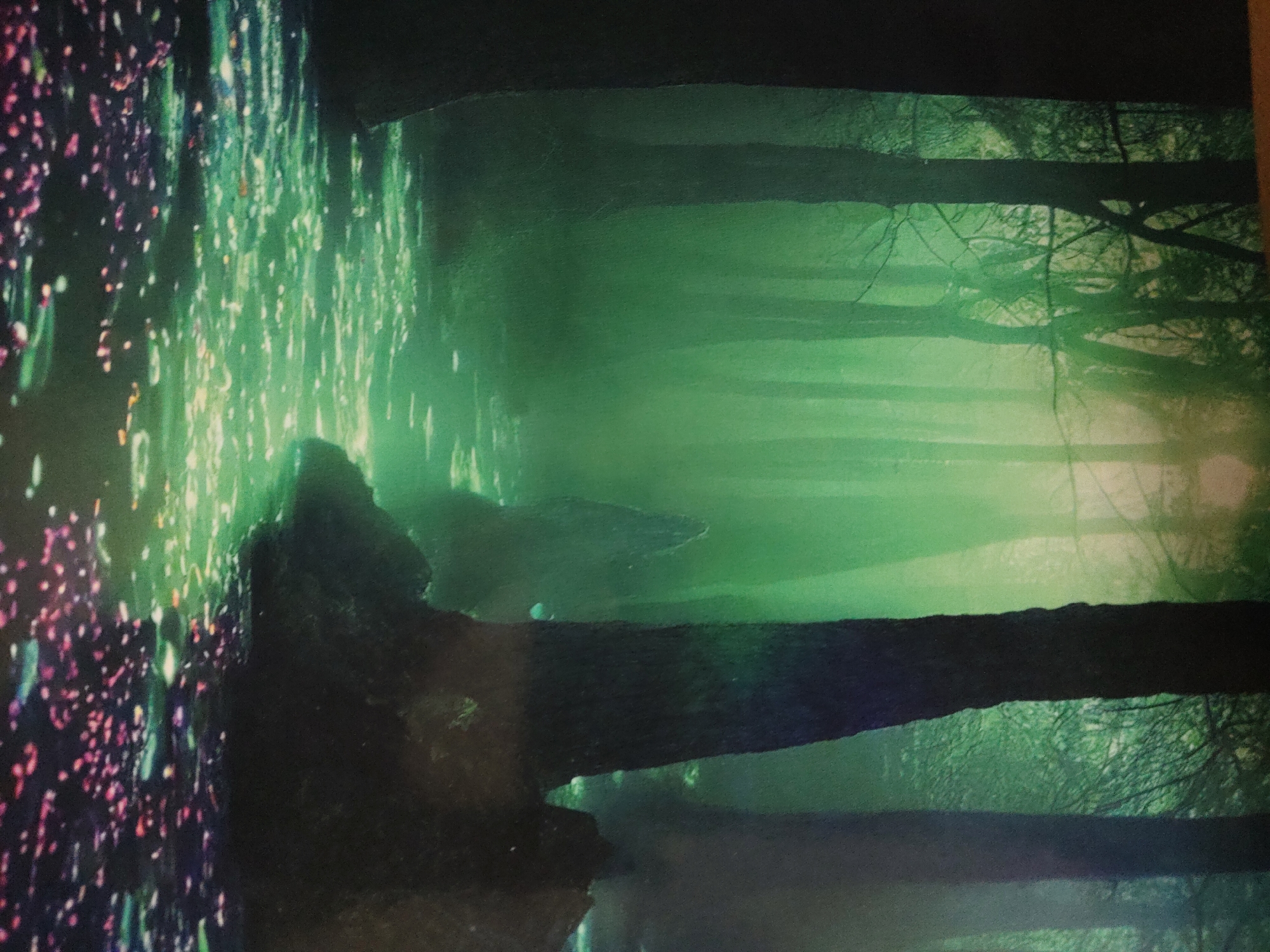 The image is oriented vertically. It depicts a scene featuring dark, horizontal tree trunks against a luminous green background, with a prominent field of glowing particles on the left. No individuals or animals are visible.
On the far left, a dense, vertical column of small, distinct light sources is present. These luminous points are varied in color, predominantly pink and purple, but also include green, yellow, and white, varying in size and intensity. They appear concentrated on a vertical plane or within a narrow volume.
The central and right portions of the image feature multiple thick, dark, horizontal forms consistent with tree trunks. These trunks are primarily dark brown to black and span across the frame. Between and behind these trunks, intricate patterns of bare tree branches are faintly discernible, silhouetted against a pervasive, bright green luminescence.
The background is dominated by an intense, diffused green light, suggesting an illuminated mist or fog within a wooded area. This green glow is strongest in the central-right portion of the frame and gradually diminishes in intensity towards the top and right edges, where it transitions into darker green and black tones.
The scene combines sharp contrast between the dark, solid forms of the tree trunks and the vibrant, ethereal luminosity of the green mist and multi-colored particles. The location is an outdoor forest environment in the city of Unknown, Unknown.