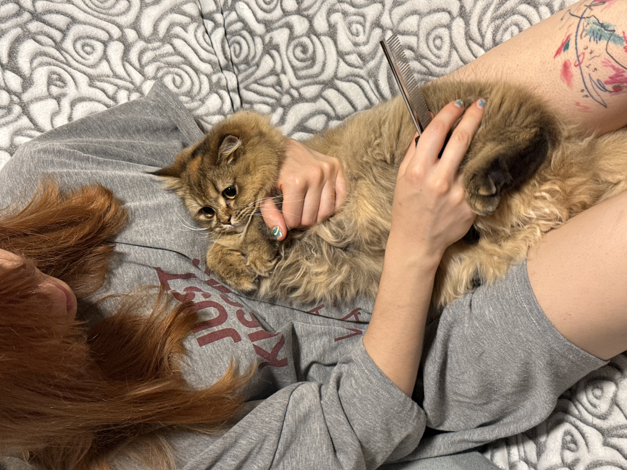 A woman with red hair, wearing a grey shirt, is sitting on a grey patterned blanket. She is holding and grooming a tan and brown cat with a metal comb. The woman's right leg, bearing a colorful tattoo, is visible. The woman's hand shows painted nails. The location in the city of Petah Tikva, Israel, cannot be determined from the image.