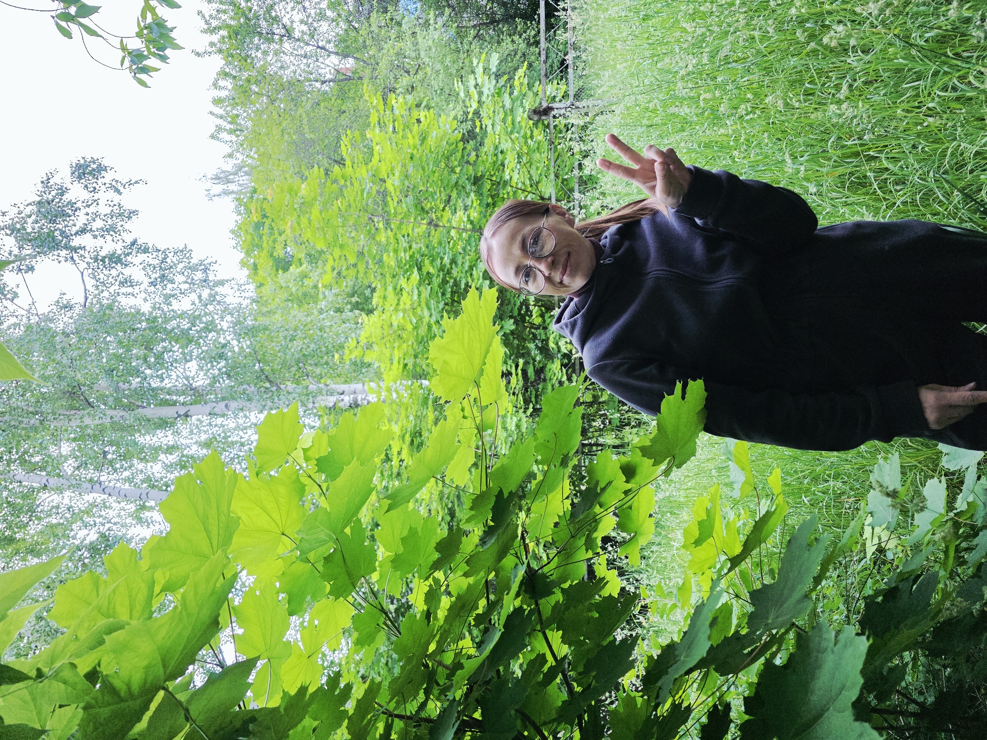 A woman stands in a natural, outdoor setting within the city of Chaikovsky, Russia. She is positioned slightly to the right of the frame's center, facing the viewer with a slight smile and her head tilted. She wears round, wire-rimmed glasses and has light brown or auburn hair pulled back in a ponytail, visible over her right shoulder. Her attire consists of a dark, possibly charcoal grey or black, long-sleeved hooded sweatshirt with a zipper front, worn over a darker turtleneck or high-necked garment. Her right hand is raised, forming a "peace" sign (V-sign) with her index and middle fingers extended.
The immediate foreground on the left is dominated by large, vibrant green maple leaves, which partially obscure the view of the background. Beyond these leaves and around the woman, the ground is covered in tall, lush green grass, interspersed with lighter, seed-bearing grass stems. In the midground and background, a dense assortment of trees is visible. These include tall, slender birch trees with characteristic white bark, particularly noticeable in the upper left and center background, and various other deciduous trees with full green foliage. A faint, light grey or overcast sky is visible through the upper branches of the trees. To the right of the woman, a wire fence or similar structure is partially visible amidst the tall grass and trees. The overall impression is a verdant, natural area, likely a park or overgrown field.