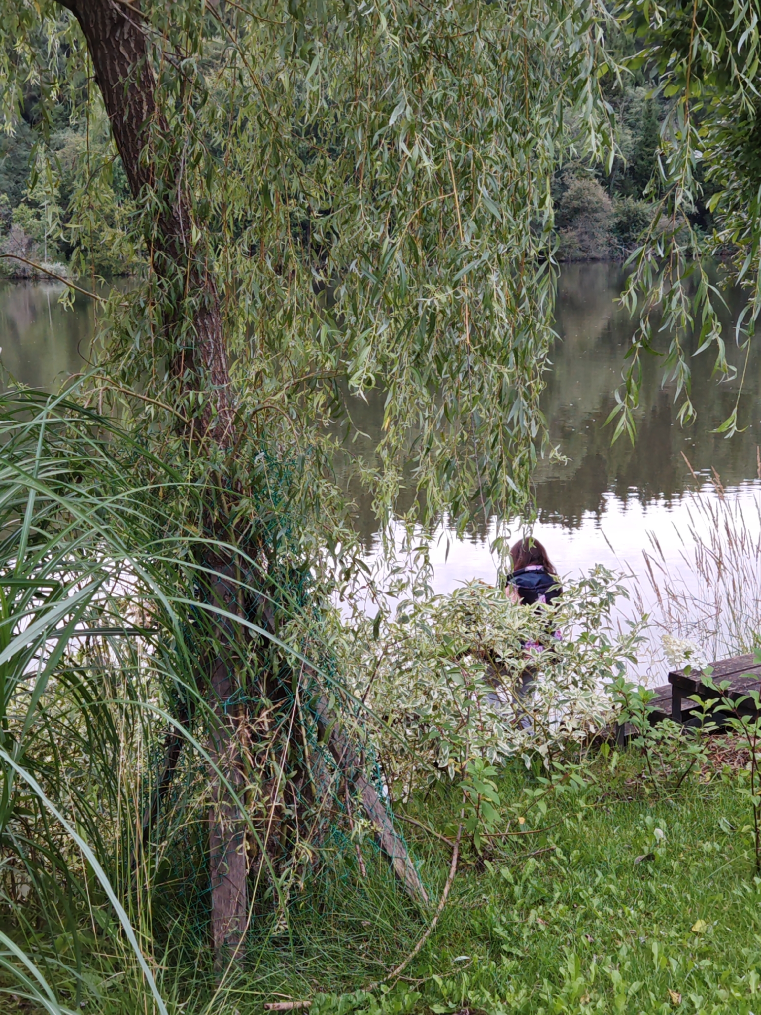 In the city of Rosinka, Russia, a person with long brown hair wearing a backpack is standing by a lake, partially obscured by weeping willow branches and tall grasses. The person is facing away from the camera and appears to be looking at the water. To the right of the person, a wooden bench is visible. The environment is a natural setting with lush green vegetation surrounding a calm body of water. The sky is overcast, and the overall atmosphere is serene.