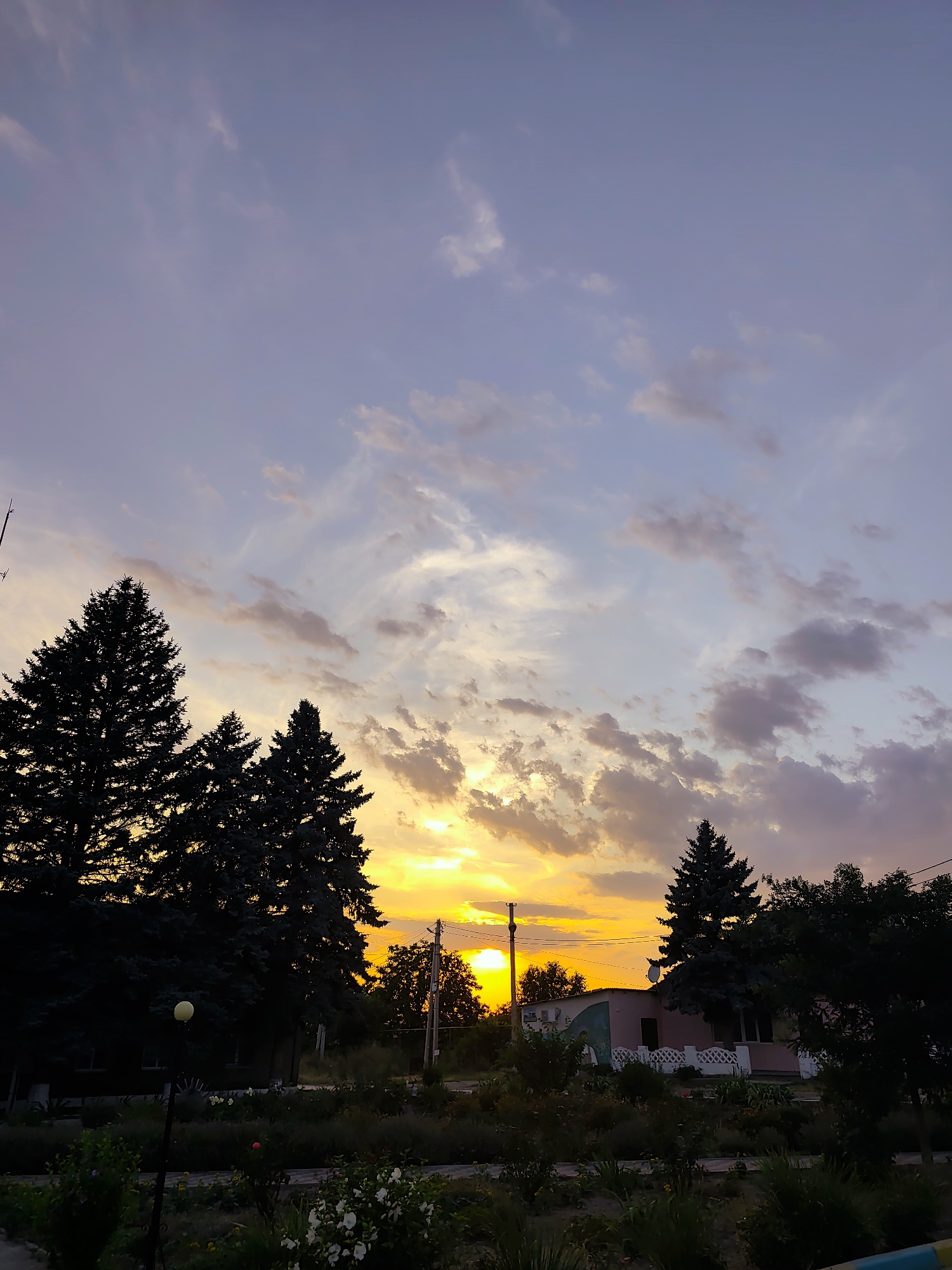 The image captures a serene sunset scene in Goyany, Moldova. The sky is a canvas of soft purples, blues, and oranges, with wispy clouds scattered across the horizon. Silhouetted against the vibrant sky are several tall evergreen trees, their dark forms stark against the glowing sunset. In the foreground, a building with a pink facade and a white lattice fence is visible, nestled amongst lush greenery and flower beds. The scene evokes a sense of tranquility and natural beauty.