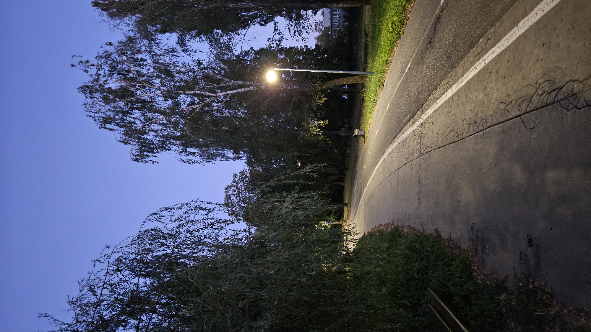 The image depicts a paved pathway, possibly a bike path or sidewalk, curving to the right. It is bordered by green grass and a line of trees on the left. A street lamp is illuminated, casting a warm glow on the path and surrounding foliage. The sky is a deep blue, indicating it is either dusk or early morning. The trees appear to be in motion, suggesting a windy condition. The pathway shows signs of wear, with cracks and a distinct white line marking its edge. In the background, a building with multiple windows is visible through the trees. The overall scene conveys a sense of a quiet, possibly urban or park-like environment, at a time when artificial lighting is needed.