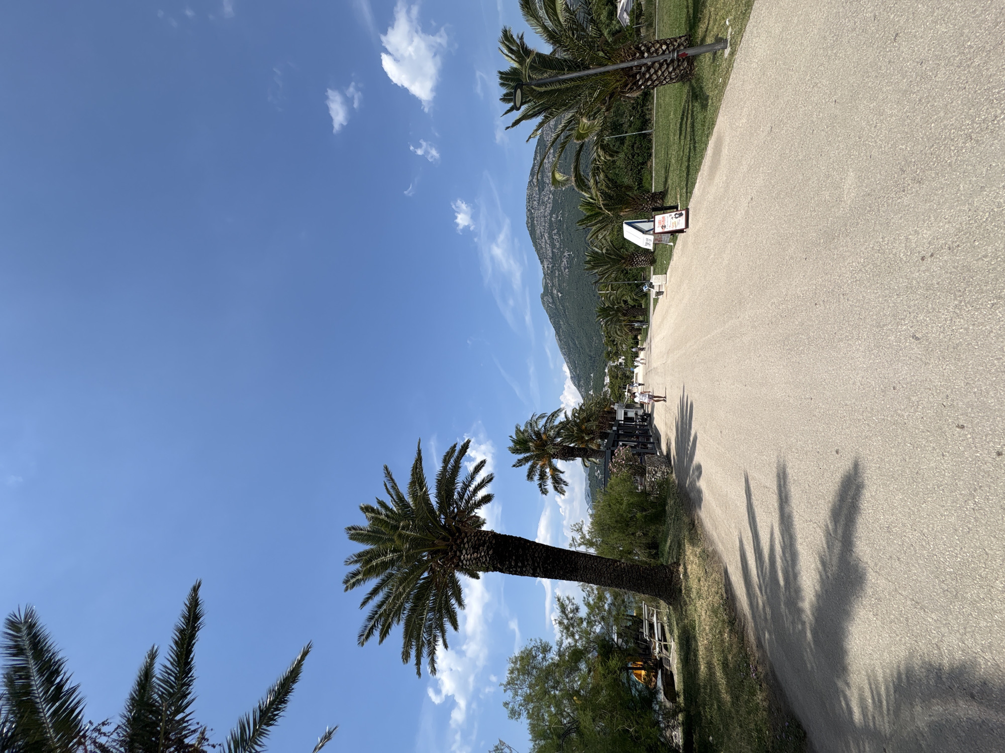 The image depicts a wide, paved path lined with palm trees and lush greenery. In the distance, a mountain range is visible under a clear blue sky with scattered white clouds. Several people are seen walking and cycling along the path. To the left of the path, there are benches and some parked vehicles, suggesting a recreational area or park. The overall scene is one of a sunny day in an outdoor public space. This scene is likely located along the promenade in Bar, Montenegro, known for its palm-lined walkways and proximity to the Adriatic Sea and surrounding mountains.