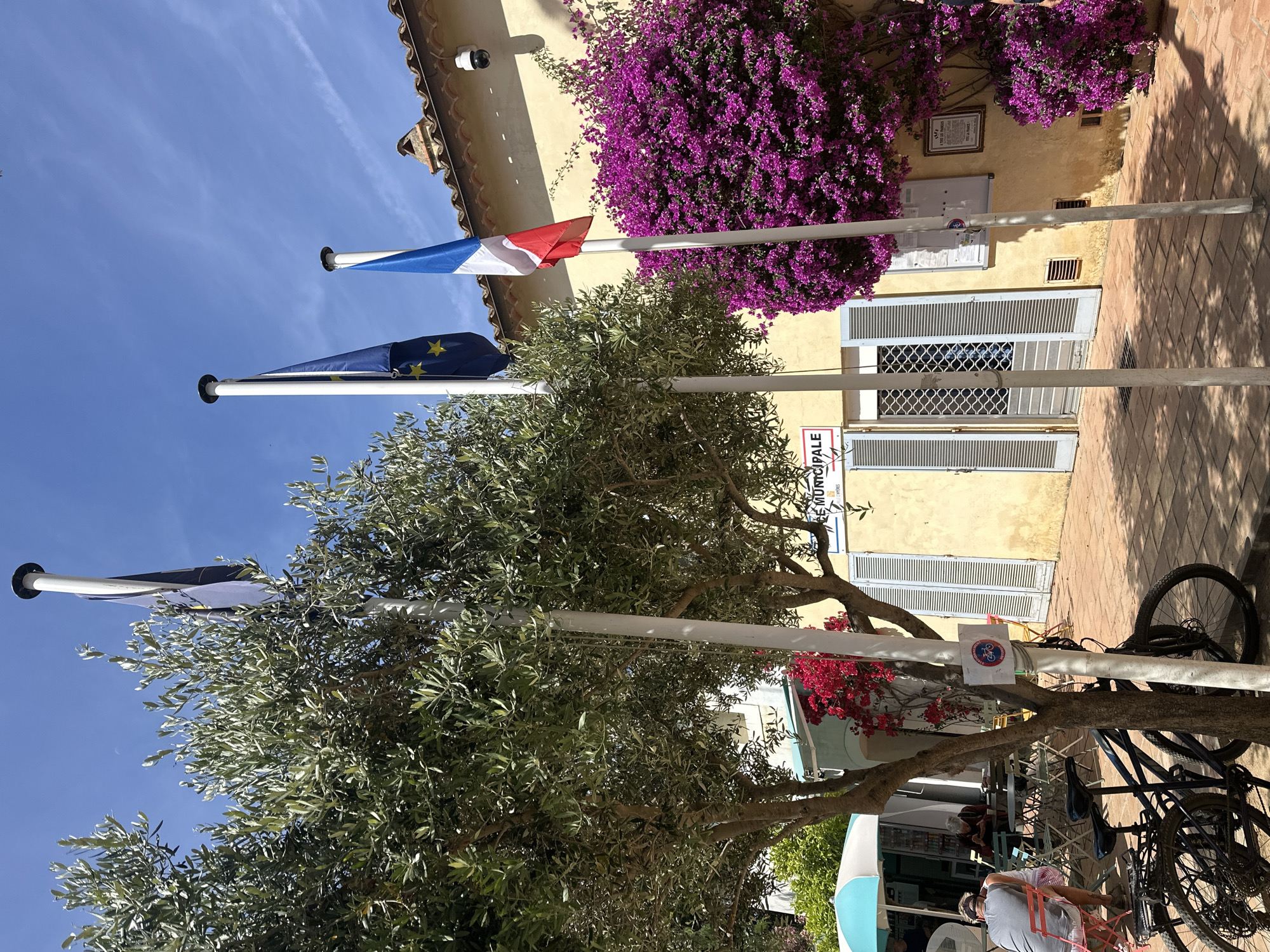 The image depicts an outdoor scene with several flags flying from poles in front of a building. The flags are the French tricolor and the flag of the European Union. Behind the flags, a building with a yellow facade is visible, adorned with vibrant purple bougainvillea. The building has light blue shutters and a tiled roof. Adjacent to the building, an olive tree with dense foliage stands prominently. In the foreground, a bicycle is parked next to a pole that displays a circular sign with a bicycle symbol. Further in the background, part of an outdoor seating area with tables and chairs can be seen, along with patrons. The sky is a clear, bright blue, suggesting a sunny day, likely in the morning or afternoon due to the shadows cast. The overall atmosphere appears relaxed and pleasant, typical of a Mediterranean setting. A sign on the building reads "MUNICIPALE". The scene suggests a public space, possibly a town hall or municipal building, in Hyères, France.