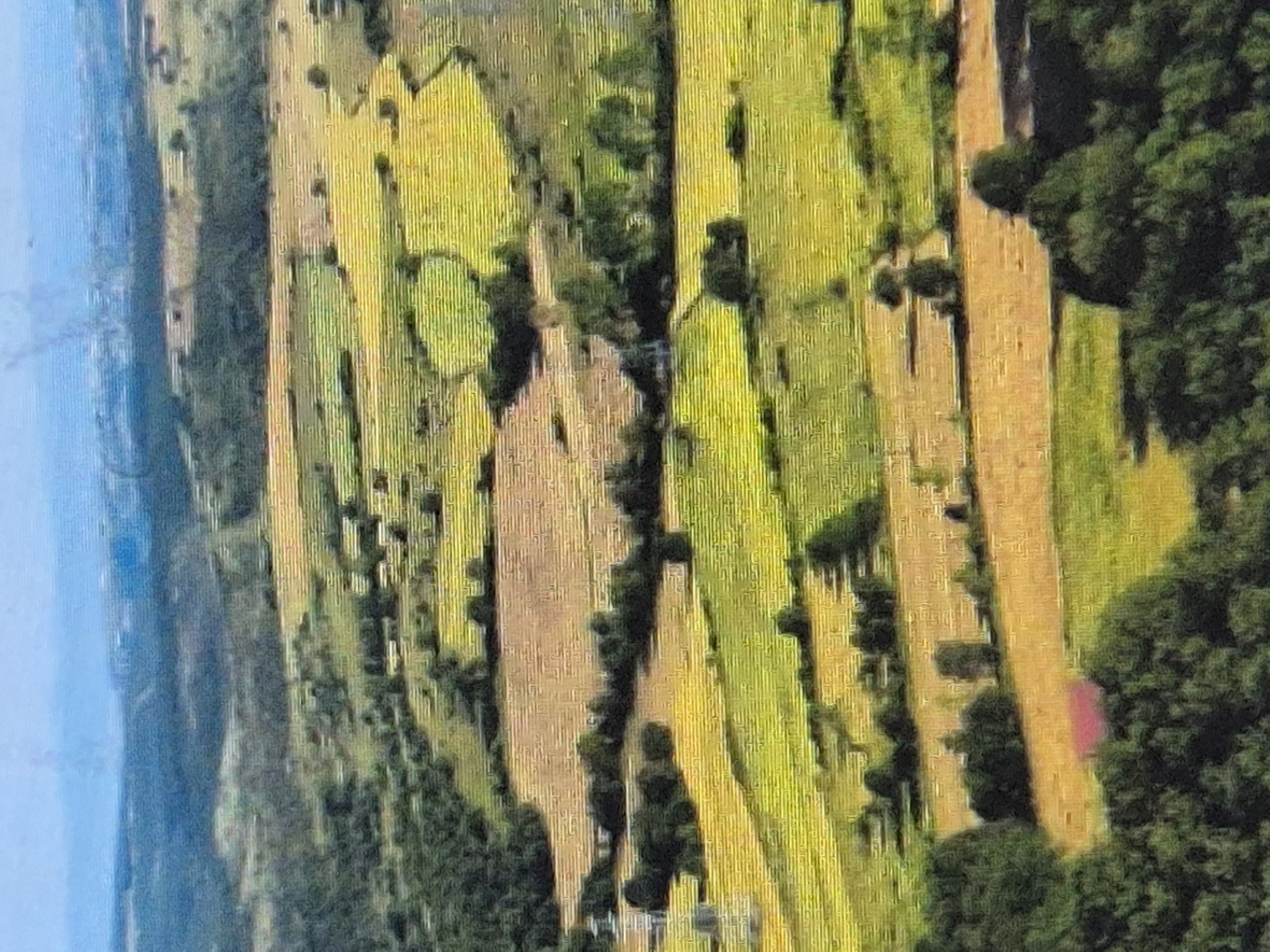 An aerial, landscape view of a rural area shows rolling hills with cultivated fields in various shades of green and yellow. Trees and patches of darker green vegetation dot the landscape. In the foreground, dense green trees line the bottom of the frame. The background features more distant hills and a hazy sky. The image has a painterly quality, with visible brushstroke-like textures. The location is identified as Sozonivka, Ukraine.