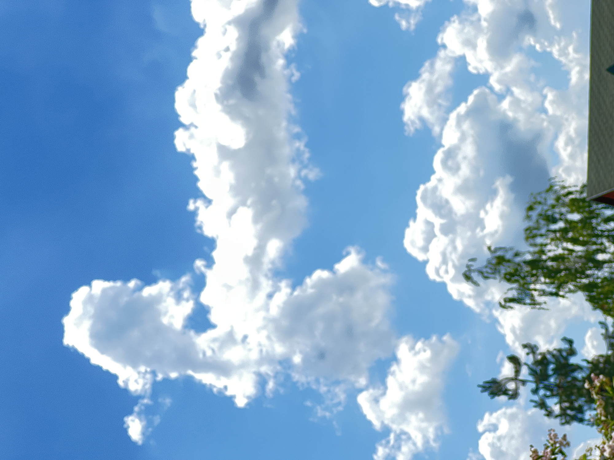 The image captures a bright blue sky with fluffy white cumulus clouds, indicative of fair weather. In the lower part of the frame, the tops of trees are visible, with some greenery and hints of pink blossoms suggesting a springtime or early summer scene. A portion of a roof, likely belonging to a residential building, can be seen in the bottom right corner, appearing to be covered with a green or olive-colored material. The overall impression is that of a serene, outdoor environment, likely a suburban or rural setting on a clear day. The specific location of Plastunivska, Russia, cannot be determined solely from the visual elements present in the image.