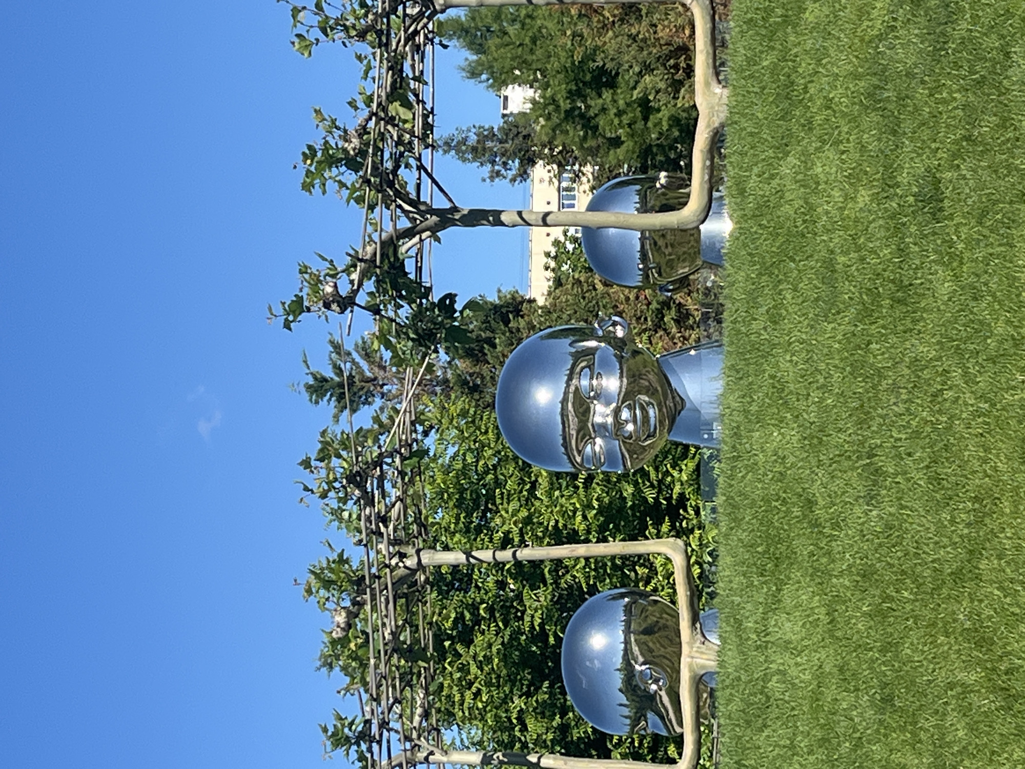 This image captures an outdoor art installation, likely located in a park or garden in Krasnodar, Russia, under a clear, bright blue sky. The photograph is oriented vertically, with the horizon line on the right.
The primary subjects are three highly reflective, metallic sculptures, resembling stylized human heads or busts. These sculptures possess a mirror-like finish, reflecting the surrounding environment, including the vibrant blue sky and lush green foliage. The most prominent sculpture, located centrally, depicts a child's head with discernible facial features, its reflective surface showing distorted images of trees and the sky. Another head sculpture is visible closer to the viewer, partially obscured in the foreground, and a third appears further back.
Behind and between the sculptures, a dense canopy of green trees and bushes fills the midground. Some trees appear to be trained on a dark-colored trellis system, suggesting careful landscaping or espaliered growth. To the right, a neatly maintained green lawn extends across the frame. In the distance, behind the trees and sculptures, a light-colored building with visible windows can be seen against the sky.
The scene is bathed in bright daylight, indicated by the clear sky and the sharp reflections on the sculptures. There is no specific activity taking place, rather the image presents a static view of an artistic display within a natural setting. No visible text is present in the image. The overall impression is one of a tranquil and thoughtfully designed outdoor space.
