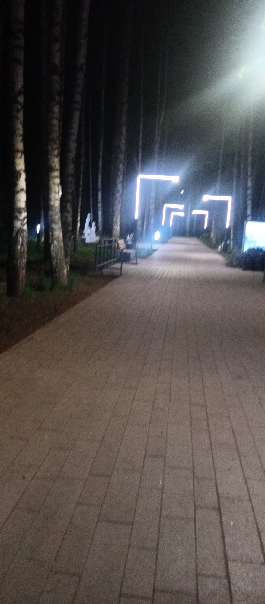 The image depicts a paved pathway illuminated by square-shaped light fixtures in a park or recreational area at night. The pathway, constructed of rectangular paving stones, stretches into the distance between rows of trees. The trees on the left side of the pathway are primarily birch trees, recognizable by their white bark with dark markings. To the left, there is a bench along the pathway and a statue further in the distance. The overall lighting is dim, with the light fixtures providing the main source of illumination, creating a contrast between the brightly lit path and the darker surroundings.