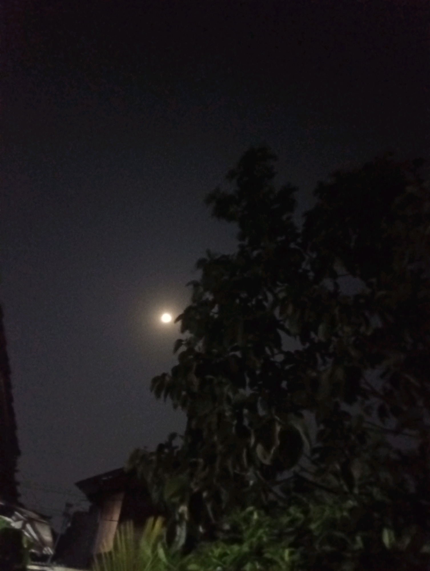 The image depicts a nighttime scene in the city of Kediri, Indonesia. A bright, full moon is visible in the dark, cloudy sky, partially obscured by the silhouette of a large tree with dense foliage. The tree is the dominant element in the foreground, its branches and leaves casting shadows. To the left of the tree, a portion of a building's roofline is visible, suggesting a residential or urban environment. The overall mood is serene and somewhat mysterious, characteristic of a moonlit night.