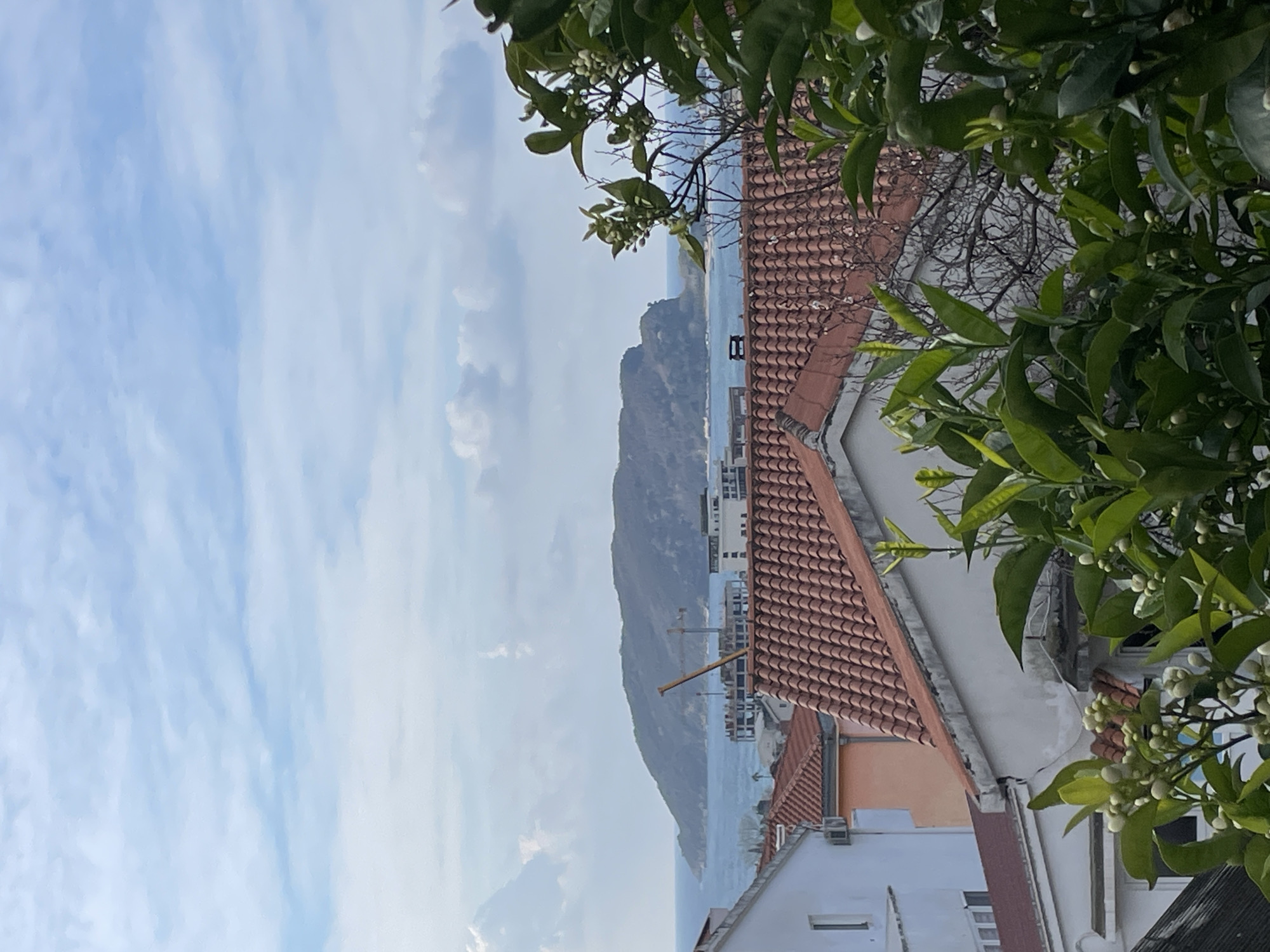 An outdoor, high-angle, eye-level photograph captures a panoramic view of Budva, Montenegro, looking towards Sveti Nikola Island. The sky occupies the upper third of the image, featuring a light blue expanse with scattered white cumulus clouds. Below the sky, the calm, blue waters of the Adriatic Sea extend horizontally across the mid-ground. The prominent, dark green, treed landmass of Sveti Nikola Island is visible on the distant horizon, largely silhouetted against the sky and water.
In the middle distance, along the coastline, several multi-story buildings are under construction, characterized by exposed concrete frames and visible rebar. A long, angled yellow boom of a construction crane rises from one of these sites.
The lower two-thirds of the image are dominated by the urban landscape and foreground vegetation. Multiple rooftops with red-orange terracotta tiles are visible, belonging to residential or commercial structures. White and light-colored building facades with windows are situated behind and between these rooftops. An air conditioning unit is visible on the side of one building.
The immediate foreground is heavily framed by dense, vibrant green foliage, featuring numerous white flower buds, indicative of a blooming citrus tree. Bare branches of a deciduous tree are also visible through the foliage, positioned slightly to the right of the image center. No people, animals, or explicit actions are discernible within the scene. The lighting suggests daylight conditions.