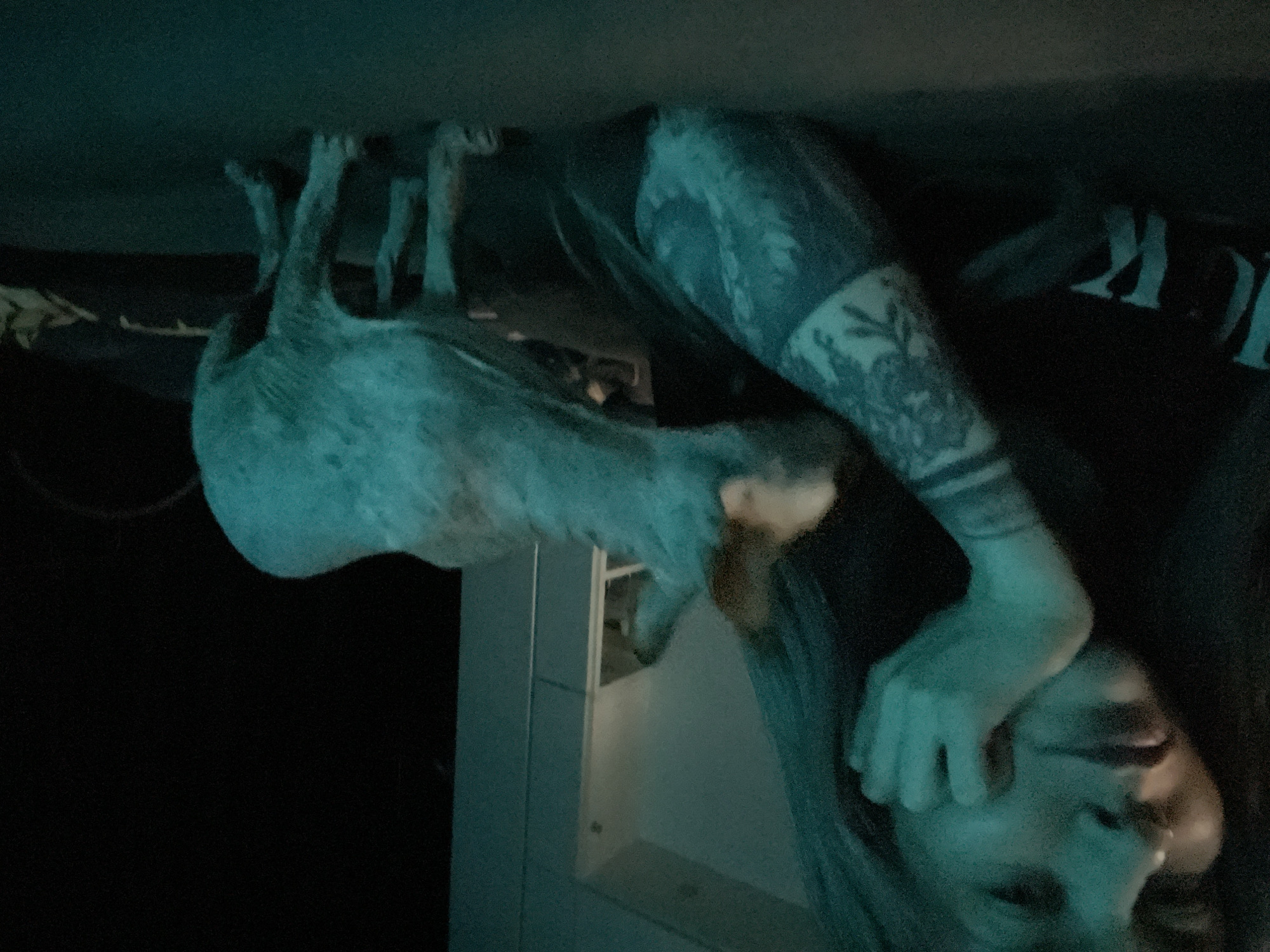 This image, set in Khimki, Russia, captures a person and a Sphinx cat in a dimly lit indoor environment, bathed in a strong blue-green light. The original image is rotated 90 degrees clockwise; when viewed upright, a person's face is visible in the lower right, partially obscured by their hand which rests near their cheek or jawline. The person has long hair and extensively tattooed arms, with intricate patterns visible on their left forearm.
A light-colored, hairless Sphinx cat is prominently featured, held by or resting on the person, extending upwards and slightly to the left of the frame. Its head is turned, showing its distinctive ears and facial structure. The overall lighting creates a moody and somewhat ethereal atmosphere. In the background, dark areas suggest a room's interior, with a glimpse of a lighter, possibly white, rectangular structure that might be a door frame or piece of furniture. On the person's dark clothing, near their right shoulder, part of a letter "K" is visible, suggesting text or a logo. The expression of the person is calm but somewhat obscured by the low light and their hand.