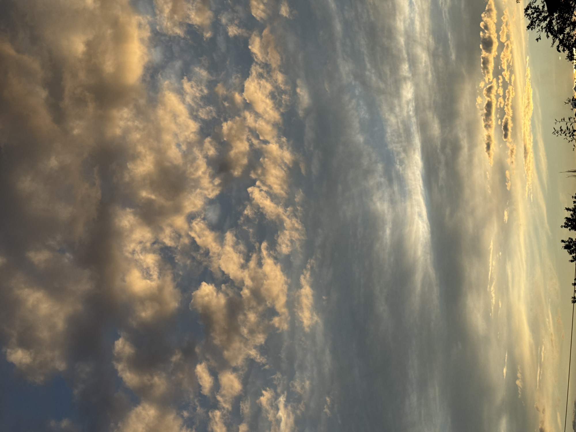 The image shows a dramatic sky filled with clouds, lit by the warm tones of sunset or sunrise. The clouds are layered, with some appearing fluffy and illuminated in shades of orange and yellow, while others are darker and more diffused, tinged with gray and blue. The sky is vast and takes up the majority of the frame. At the bottom of the image, a dark silhouetted line of trees and foliage is visible against the lighter sky, suggesting an outdoor scene. The image is a close-up of the sky, with no discernible city landmarks or people.