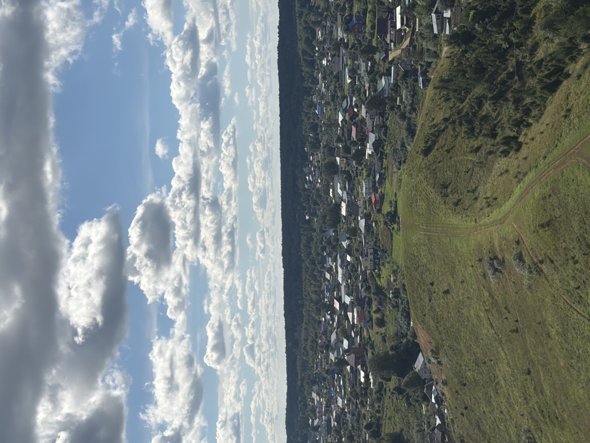A high-angle, medium shot captures a rural village nestled in a valley, seen from a grassy hilltop with a winding dirt path. The village is characterized by numerous small, colorful houses with pitched roofs, interspersed with trees. Behind the village, a dense, dark forest stretches across the horizon, separating the settlement from a bright blue sky dotted with white, fluffy clouds. The foreground features the green, undulating terrain of the hilltop, with patches of dry grass and scattered trees. The image is dominated by natural elements, with the village representing a human presence within a vast landscape.