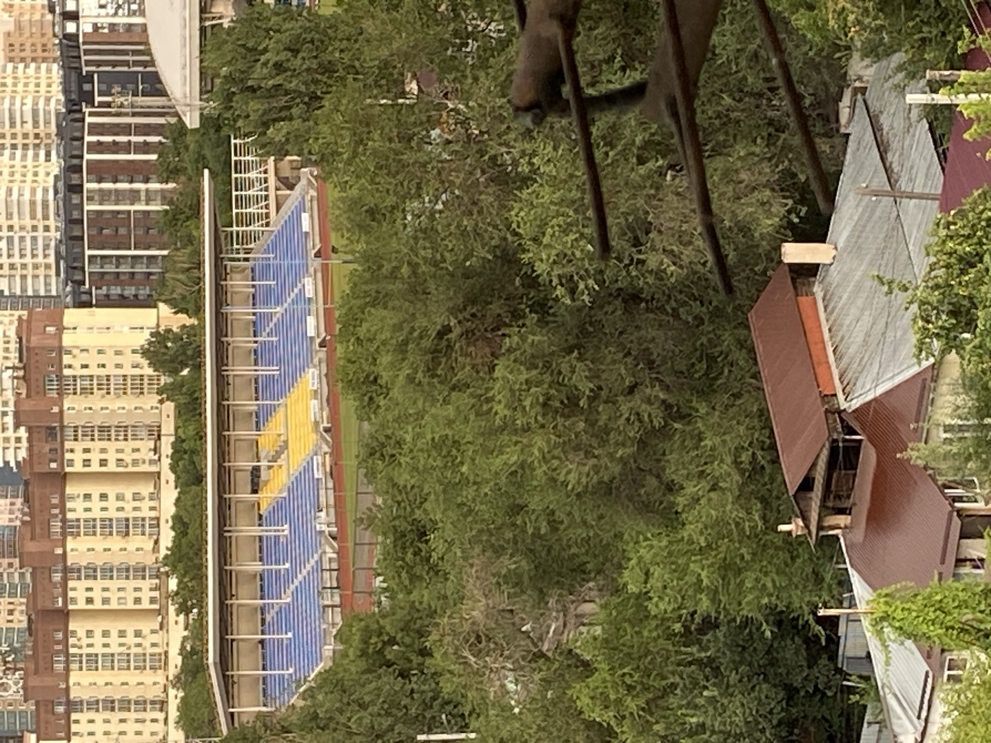 The image shows an aerial view of a stadium and surrounding buildings, likely in Almaty, Kazakhstan. The stadium has blue and yellow seating. Several tall, multi-story buildings with numerous windows are visible to the left of the stadium. To the right, there are buildings with red and silver corrugated metal roofs, interspersed with lush green trees. The trees are dense and appear to be in full foliage, suggesting it is likely daytime during a warmer season. The sky is not visible, so the weather and time of day are not definitively clear. There are no people or animals clearly visible in the image. The scene appears to be a developed urban area with recreational facilities and residential or commercial buildings.