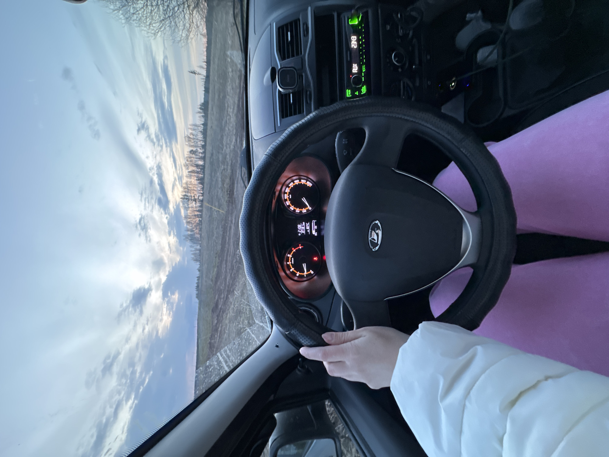 A person, presumably the driver, is visible from the chest down, wearing pink sweatpants and a white puffer jacket. Their left hand rests on the steering wheel of a car. The car's dashboard and the surrounding interior are visible, including the radio console displaying "23:18" in green digits, the instrument panel with illuminated orange gauges, and the steering wheel, which is fitted with a black leather cover. Outside the car window, a landscape is visible, showing a field or open area, possibly located in Вассята, Russia, with trees on the horizon and a sky with clouds at what appears to be dusk or dawn.