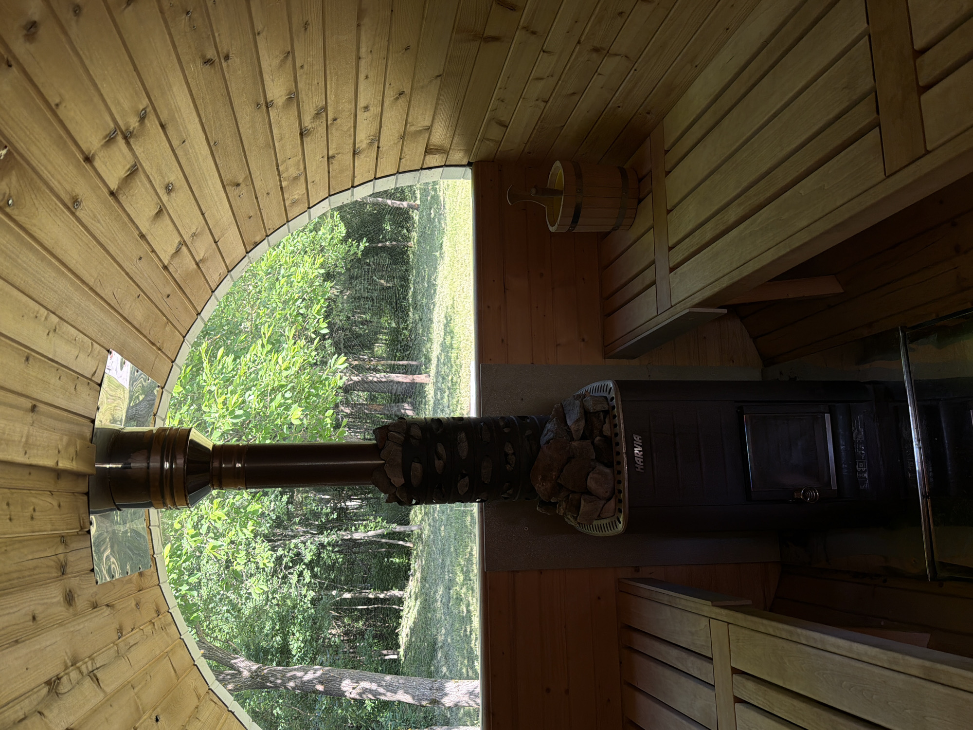 The image shows the interior of a wooden sauna. A dark metal sauna stove, branded "Harvia", stands in the center, topped with a pile of stones. To the left and right are wooden benches for seating. To the right, on the bench, is a wooden bucket with a ladle. The sauna has a curved wooden ceiling and walls, and a large arched window in the background looks out onto a forest of trees and green grass. The location is identified as Алешкино Дп, Russia. There are no people present in the image.