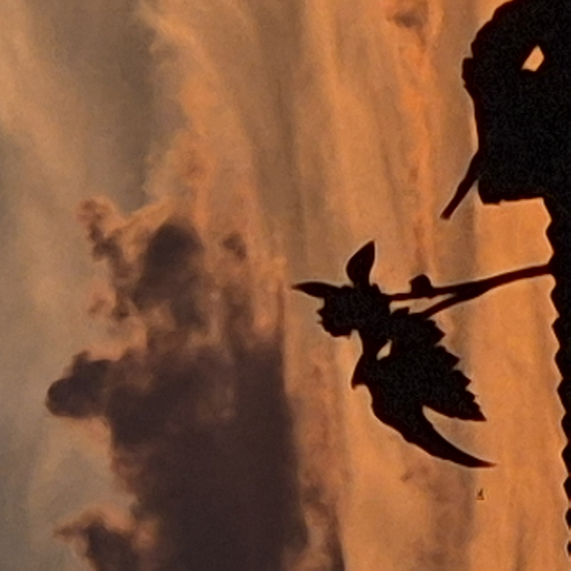 The image shows a silhouetted plant with a flower-like structure against a dusky sky. The sky has hues of orange and dark grey, with clouds forming indistinct shapes. In the foreground, a dark silhouette of what appears to be a building or structure with a jagged edge is visible. To the right, a part of another silhouette with an angular protrusion is also present, possibly part of the same structure. A small, dark object, possibly a bird, is faintly visible in the left-center of the image. The overall scene suggests an outdoor setting at dusk or dawn. The location is identified as Новостройка, Russia.