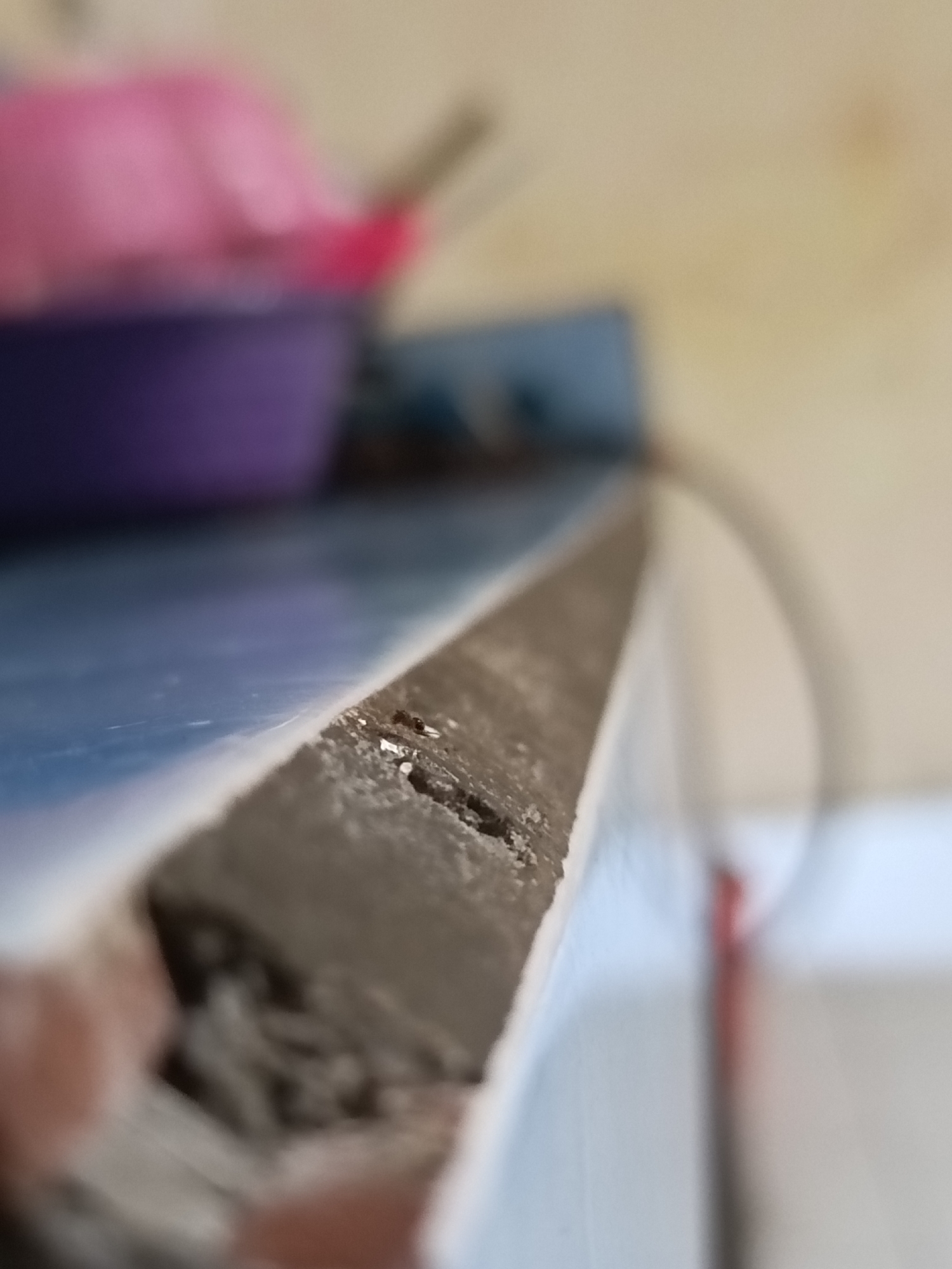 The image shows a close-up view of the edge of a table or counter, with some damage and debris visible. In the background, out of focus, are what appear to be kitchen items, including a purple bowl and a pink object. There are two small insects, possibly ants, on the damaged edge of the surface. The lighting suggests an indoor environment. There is no indication of the specific location within Kediri City, Indonesia.